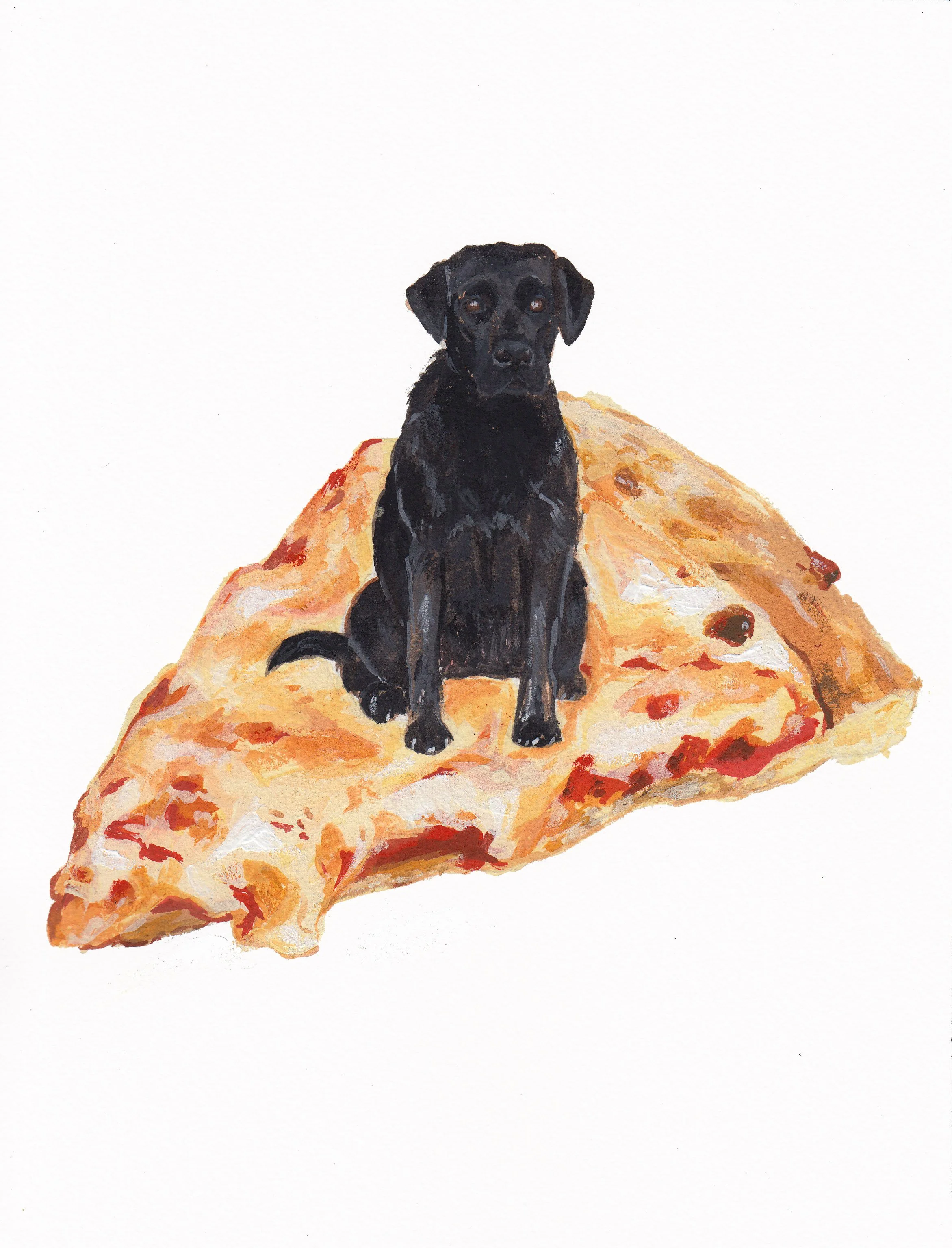 Pet Portrait_MATT JOHNSON.jpg