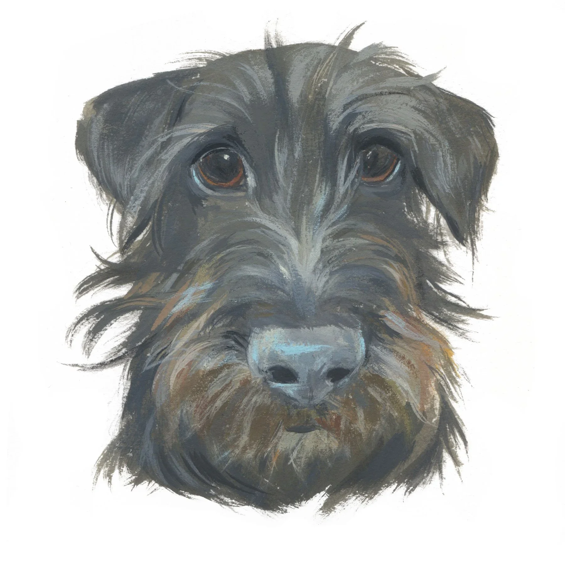 Pet+Portrait_E.Maertens.webp