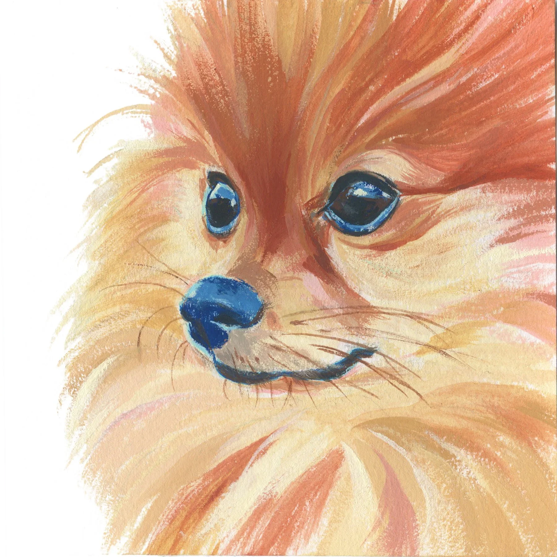 Pet+Portrait_Peter+Rotter.webp
