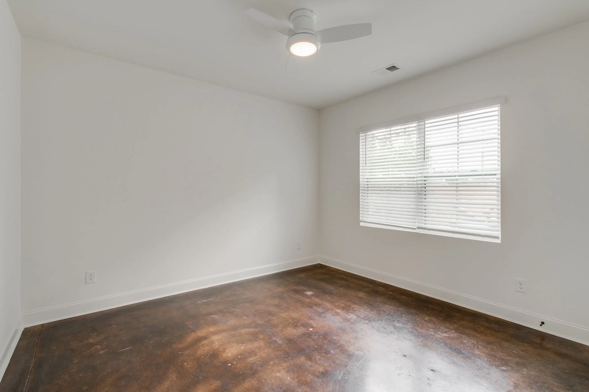 28-web-or-mls-2023 05 30 - 1410 Barnwell St-Columbia-28.jpg