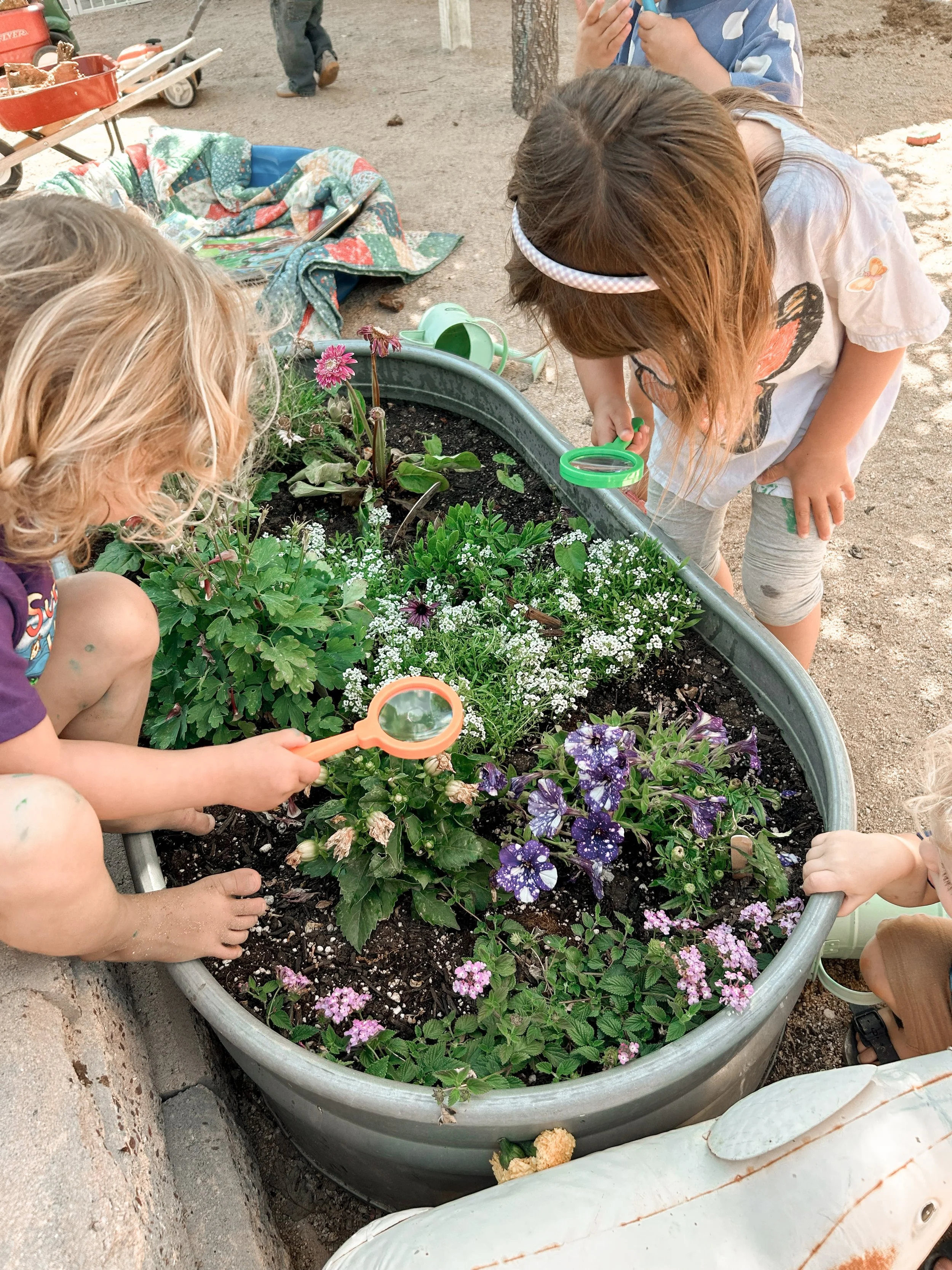 Children exploring and observing flowers in a large outdoor planter at a park or playground.