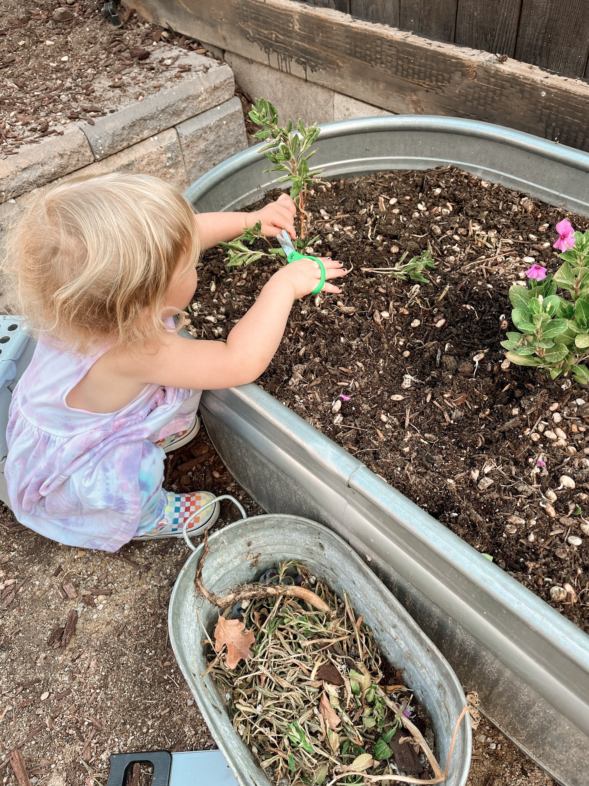 A young girl with blonde hair planting or working in a garden bed with soil, some plants, and small flowers. She is using small gardening tools, and there are containers filled with plant debris and dead leaves nearby.