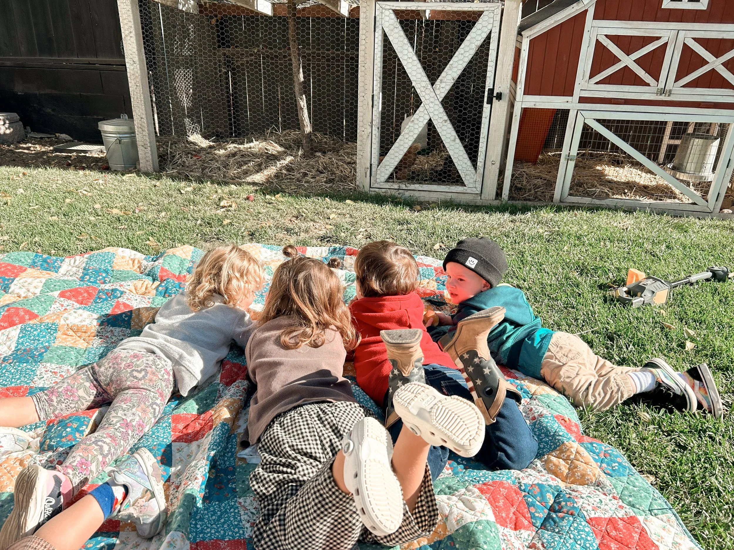 A group of young children lying on a colorful quilt outdoors, watching something to the right. There is a chicken coop with chickens and straw inside in the background, with some farming equipment and a red barn.