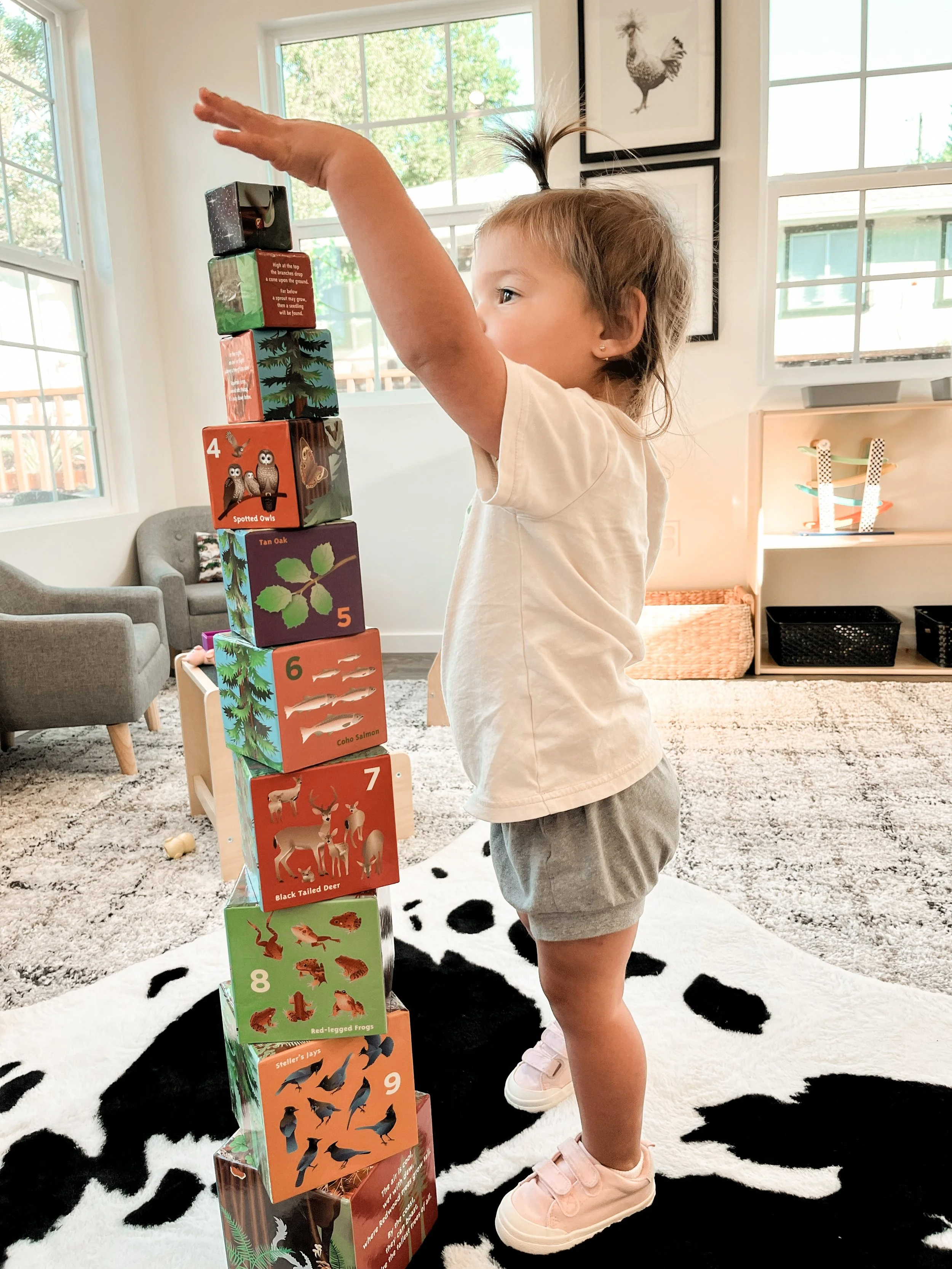 A young girl stacking educational animal-themed blocks inside a living room with large windows, framed animal art on the wall, and a cowhide rug.