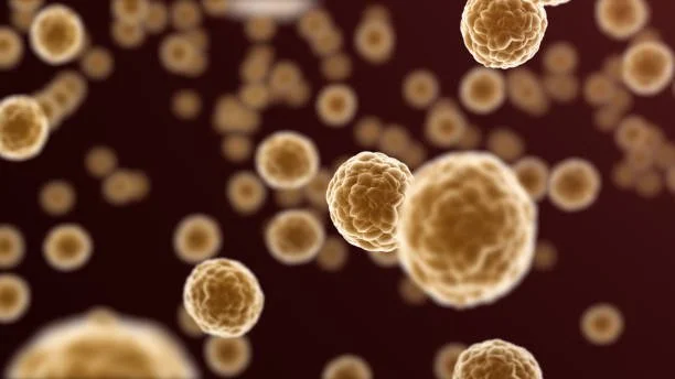 Low-Grade Inflammation, Stress, and Depression