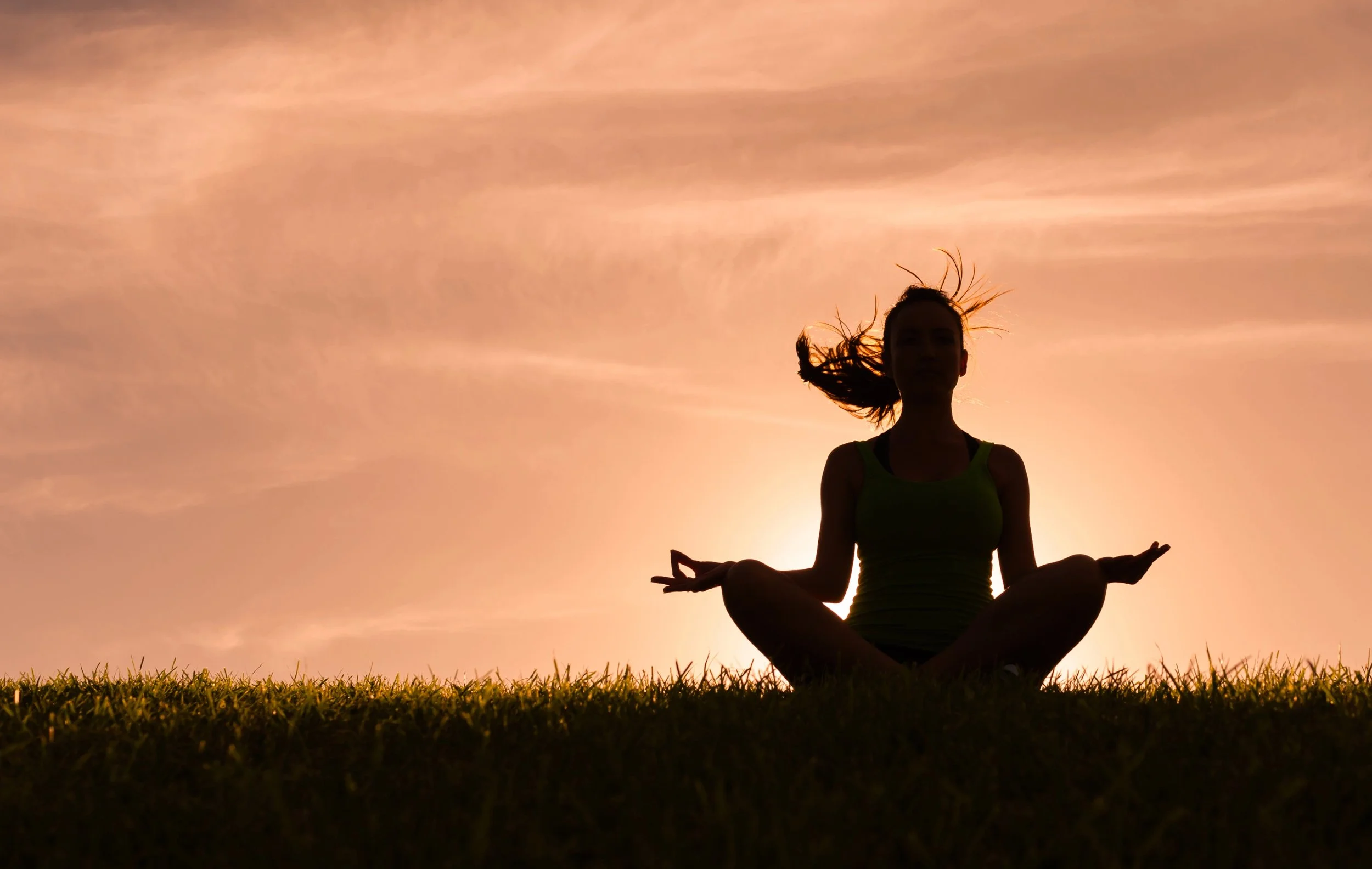Prebiotics, Probiotics, and Depression: How Gut Health May Support Mood