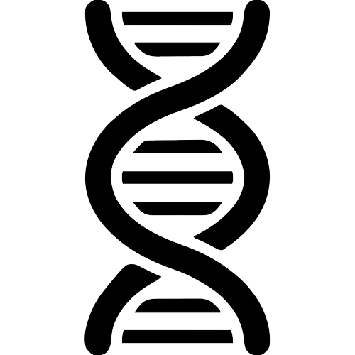 Pharmaceutical & Biotech