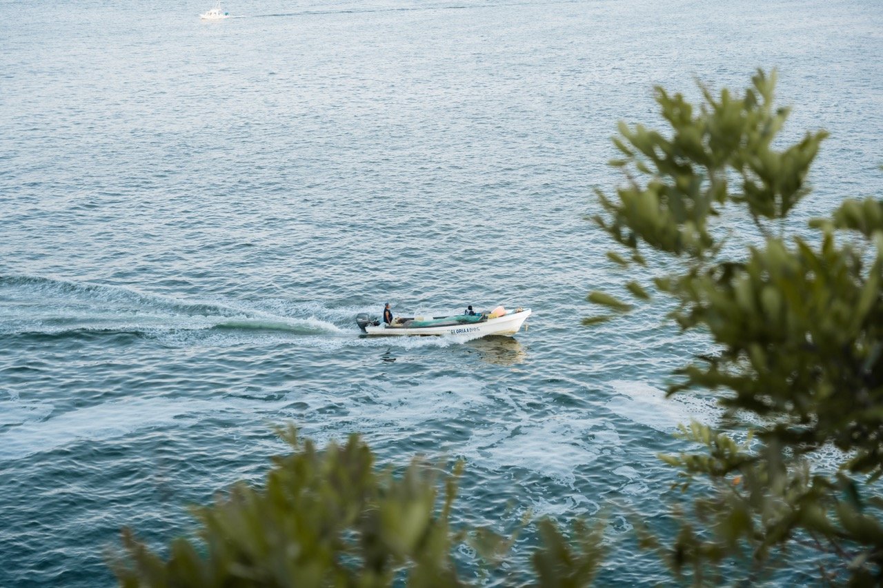 Barca a motor en el mar, vista desde la orilla con vegetación en primer plano.