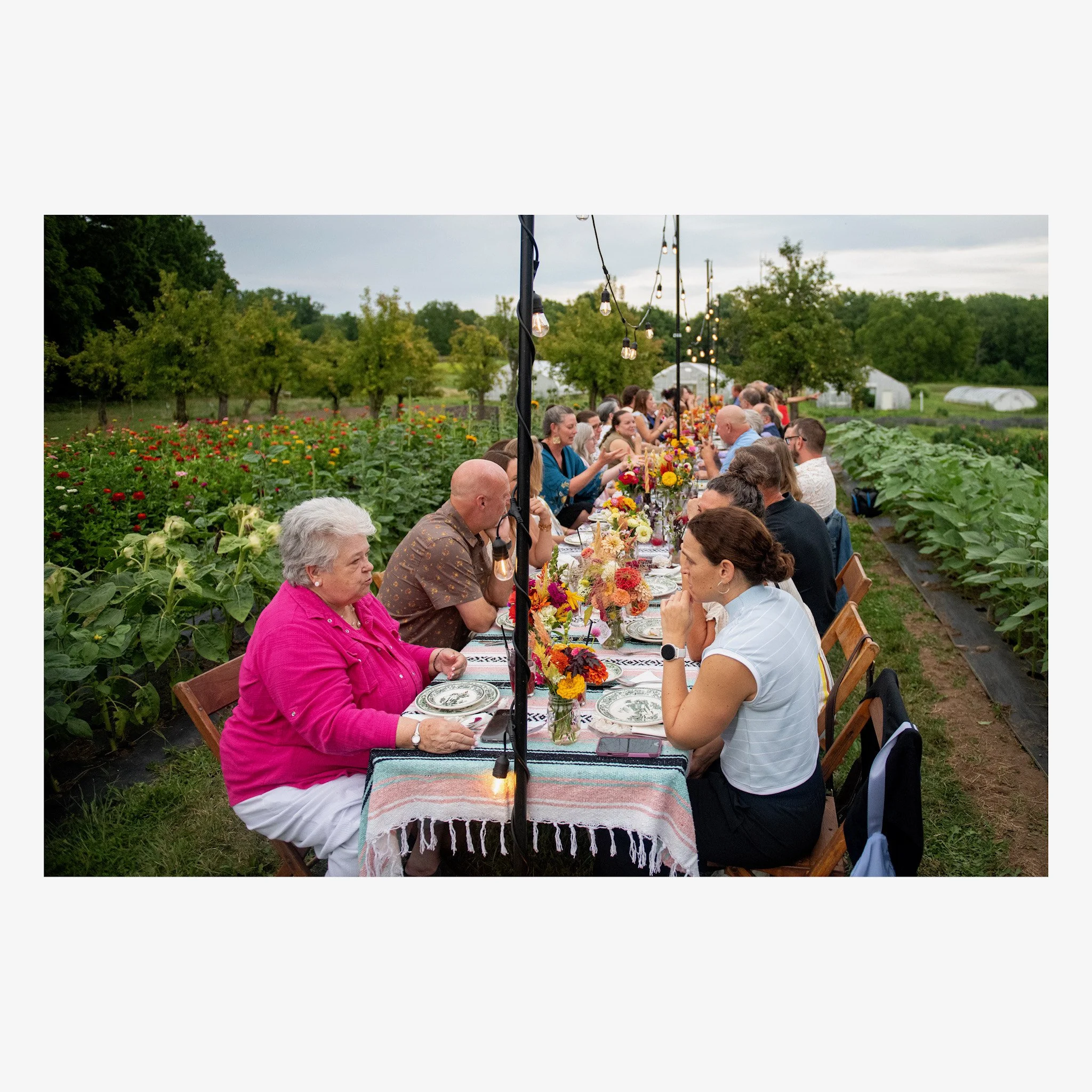 Seat at the Table, Harvest Dinner