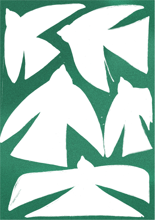 duvor-test.png