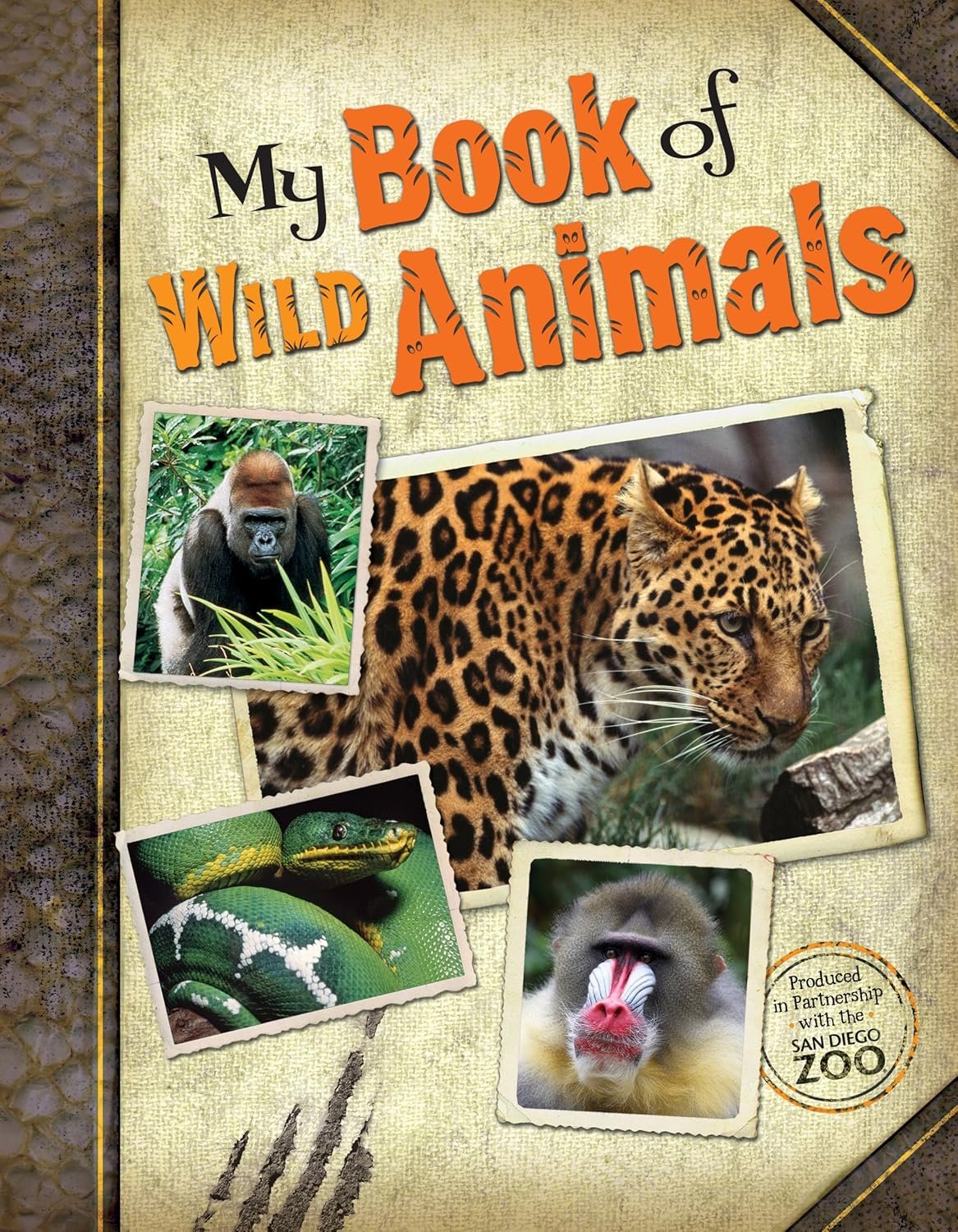 zoo.jpg