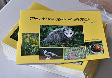 ABC-Book_cgh450px.jpg