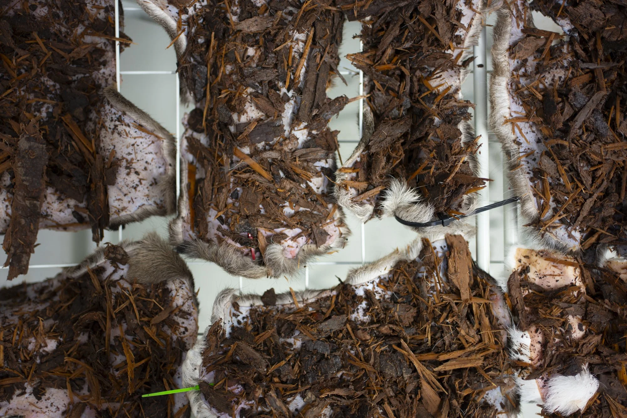 HannaN_Reindeerworkshop-Day1-12.jpg