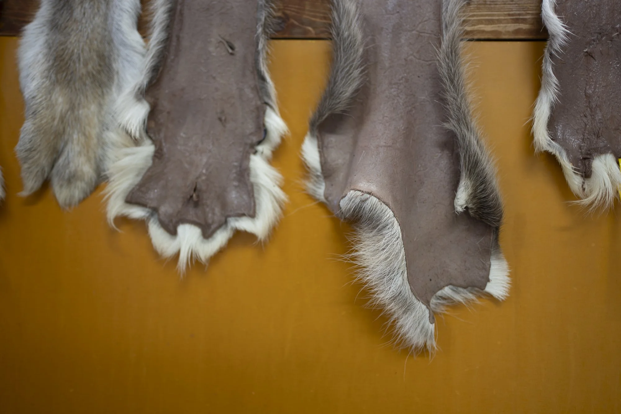 HannaN_Reindeerworkshop-Day2-36.jpg