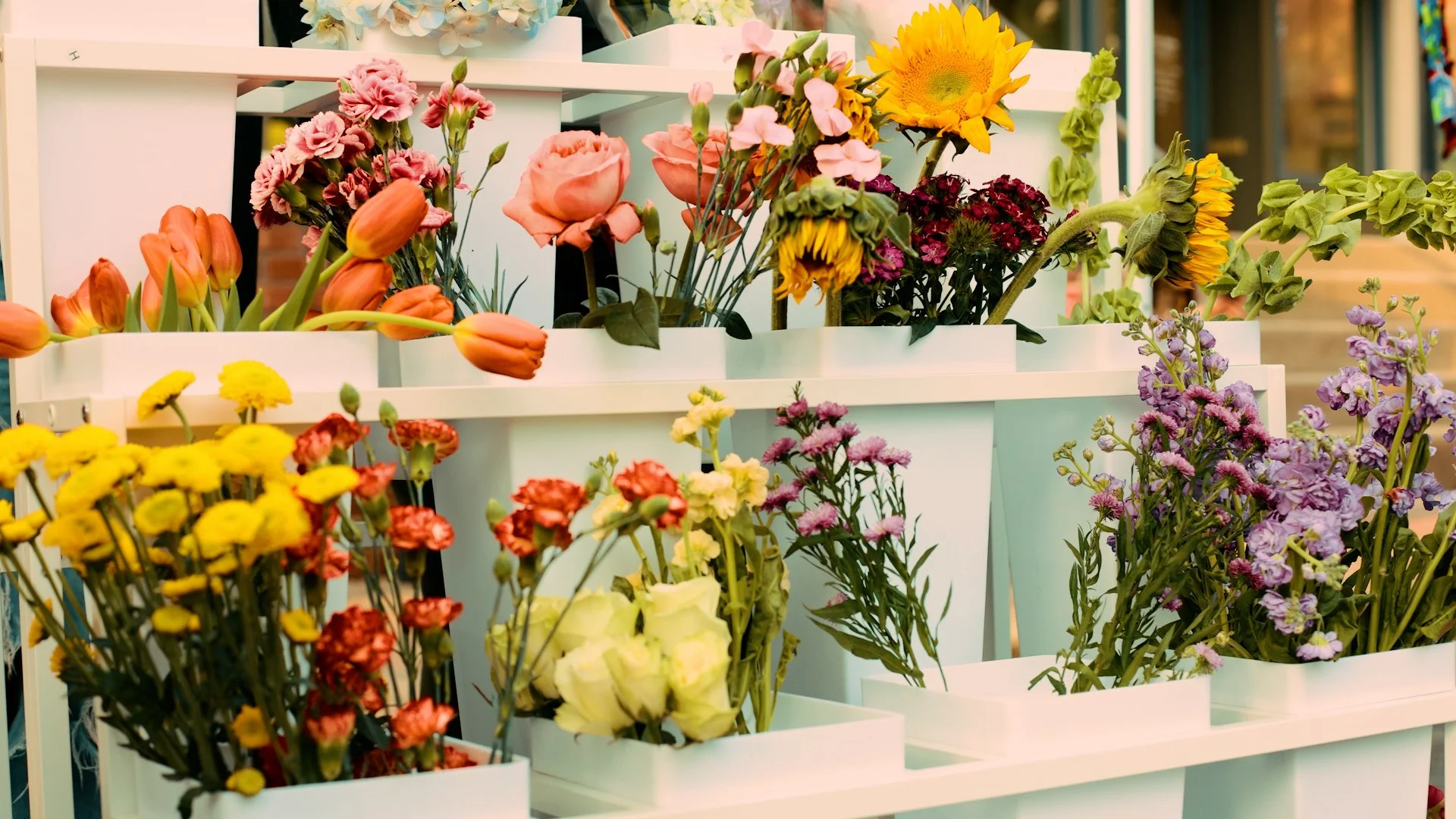 The Fieldstore:  A Small Shop with a Strong Sense of Place