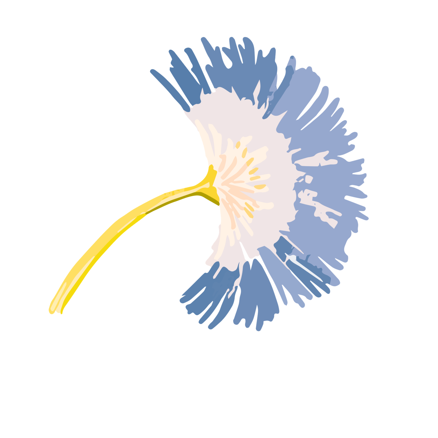 An illustration of a blue and white flower with a yellow stem, set against a black background.