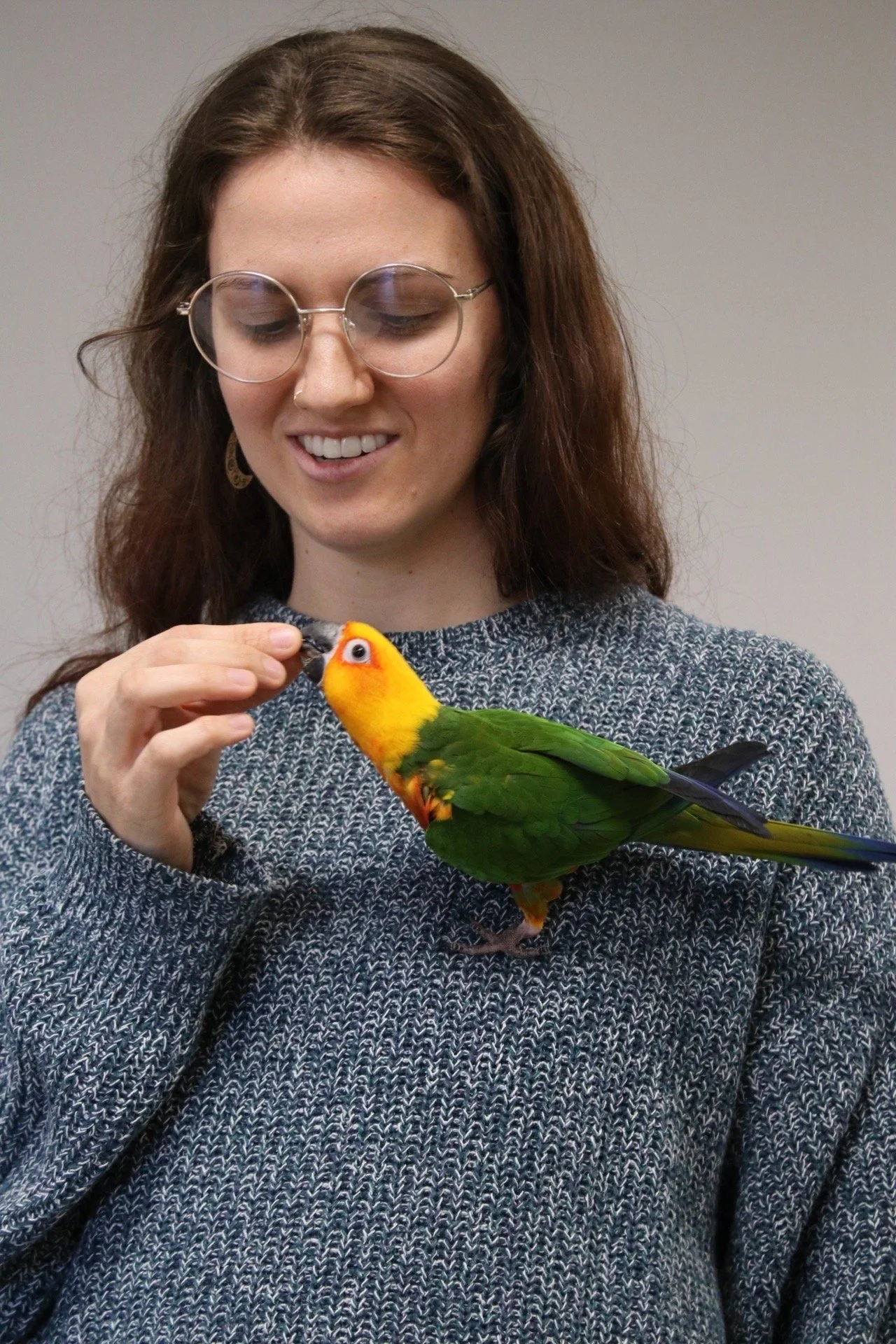 A woman with long brown hair, glasses, and a nose piercing is holding a colorful sun conure, gently touching its beak with her finger and smiling gently.
