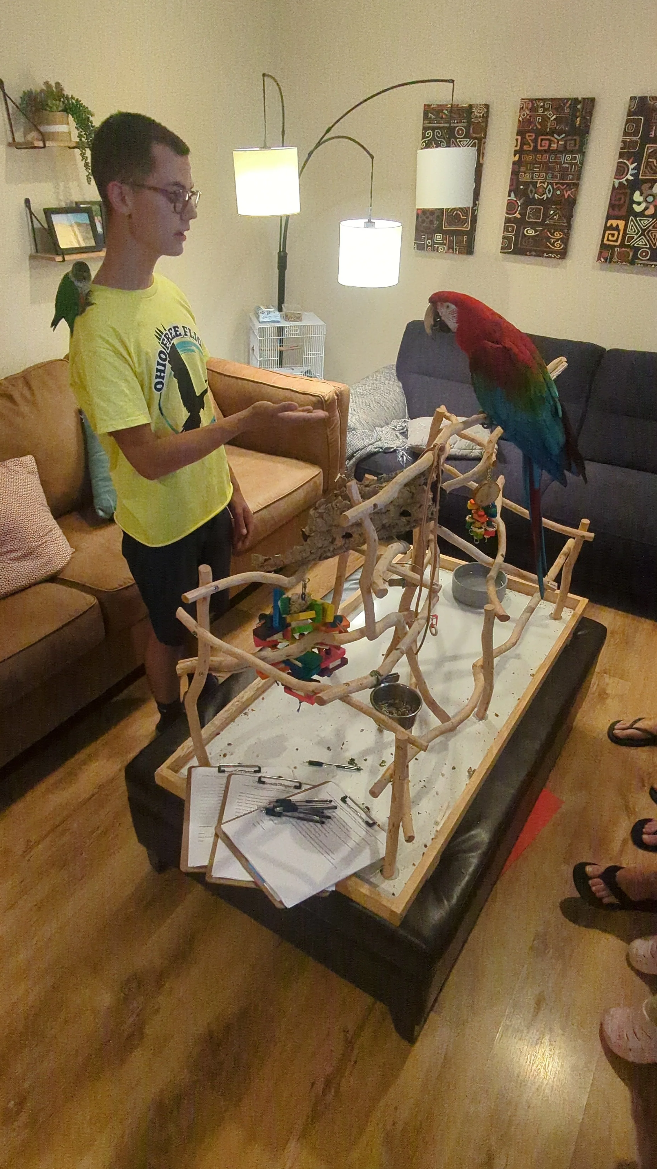 A person with glasses, wearing a yellow shirt, standing indoors near a parrot perching on his shoulder. A large colorful parrot is perched on a wooden structure in front of him. The room has modern furniture, framed artwork on the walls, and a lamp w