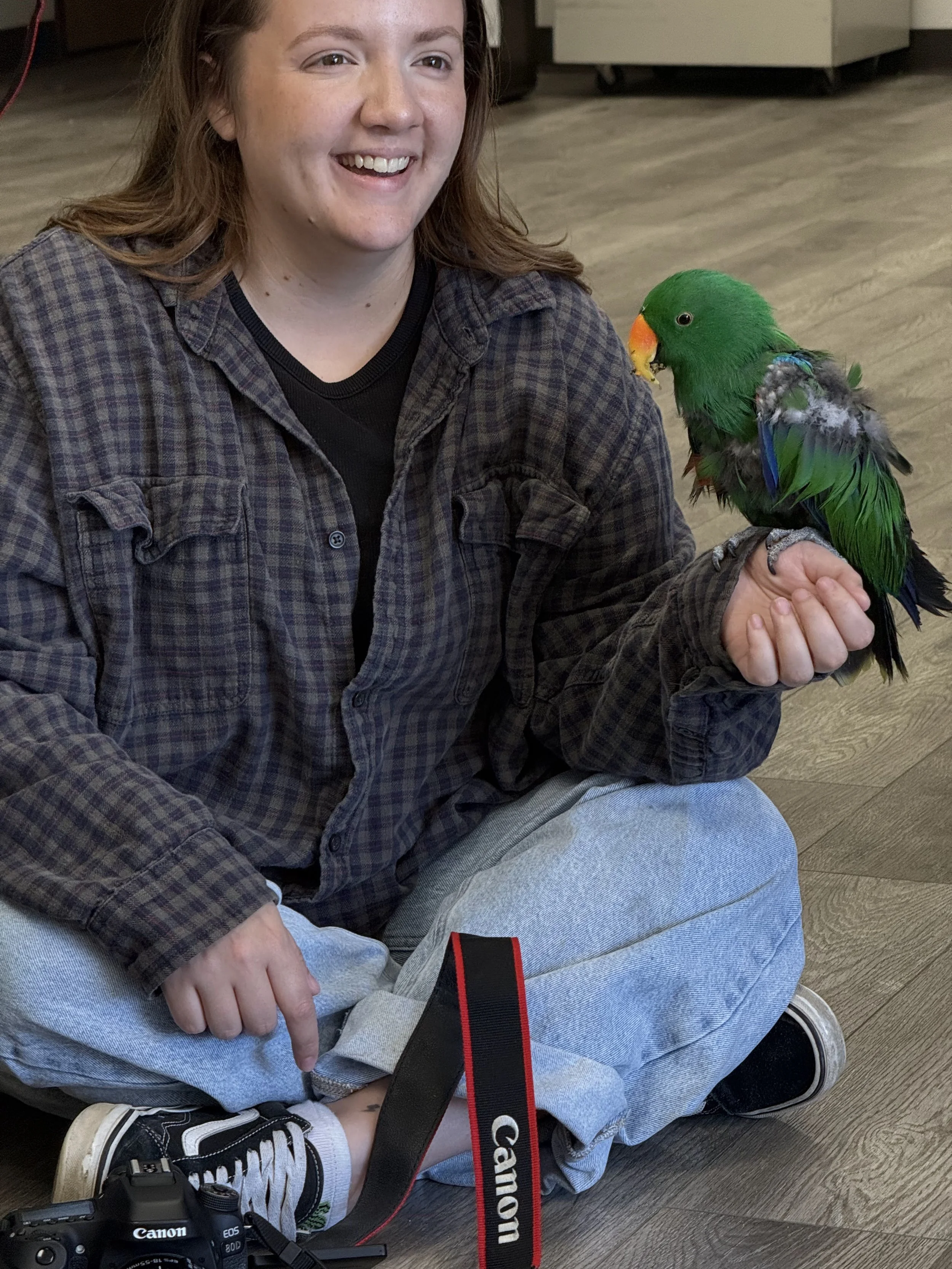 A person with long brown hair and a checked shirt sitting on the floor, holding a colorful green and gray bird on their hand, and a Canon camera is resting on their leg. Its an Eclectus parrot.