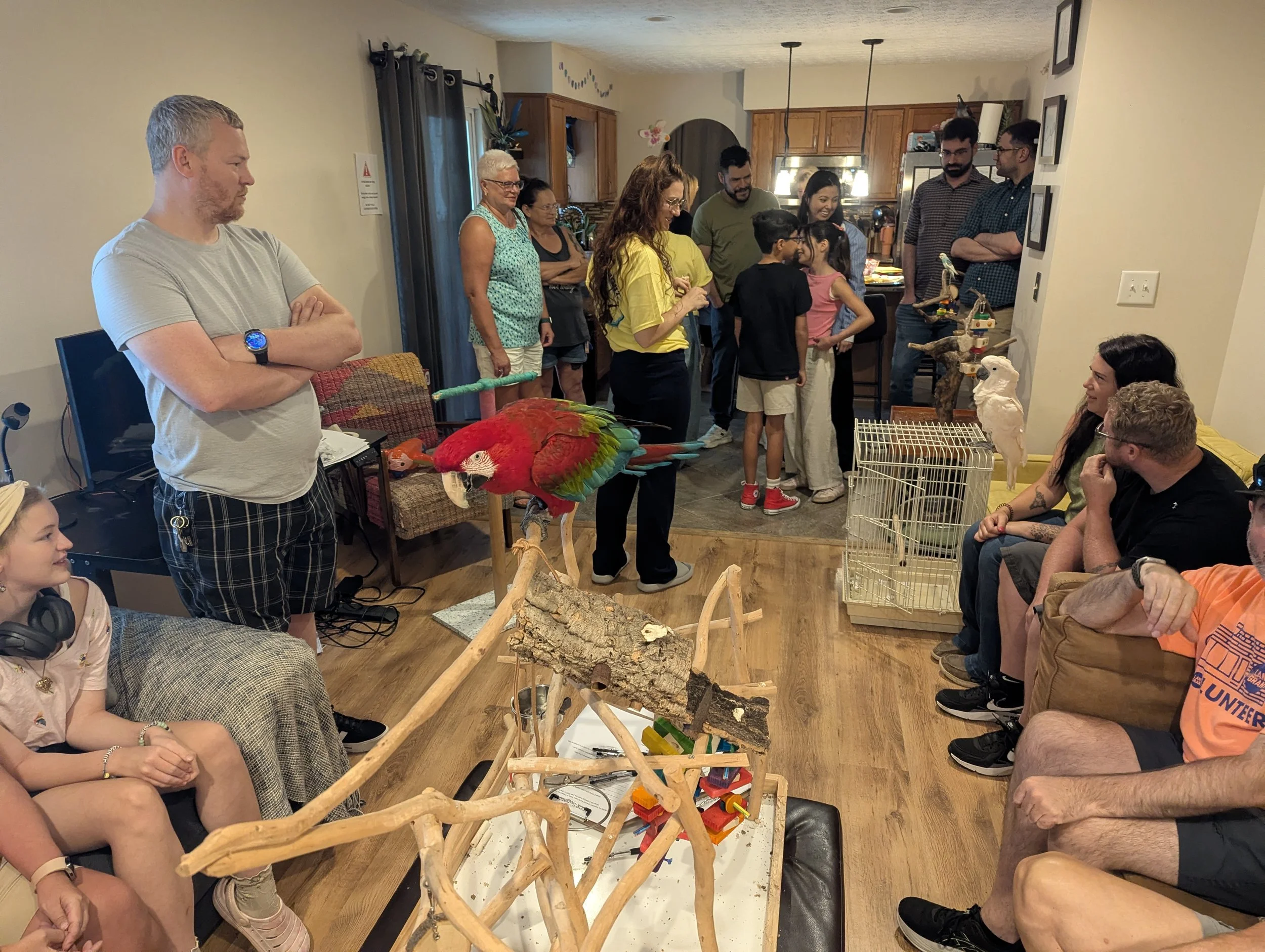 A group of people gathered in a cozy living room, observing and talking about a colorful parrot and a white cockatoo perched on a stand, with natural wood furniture and decorative elements in the background.