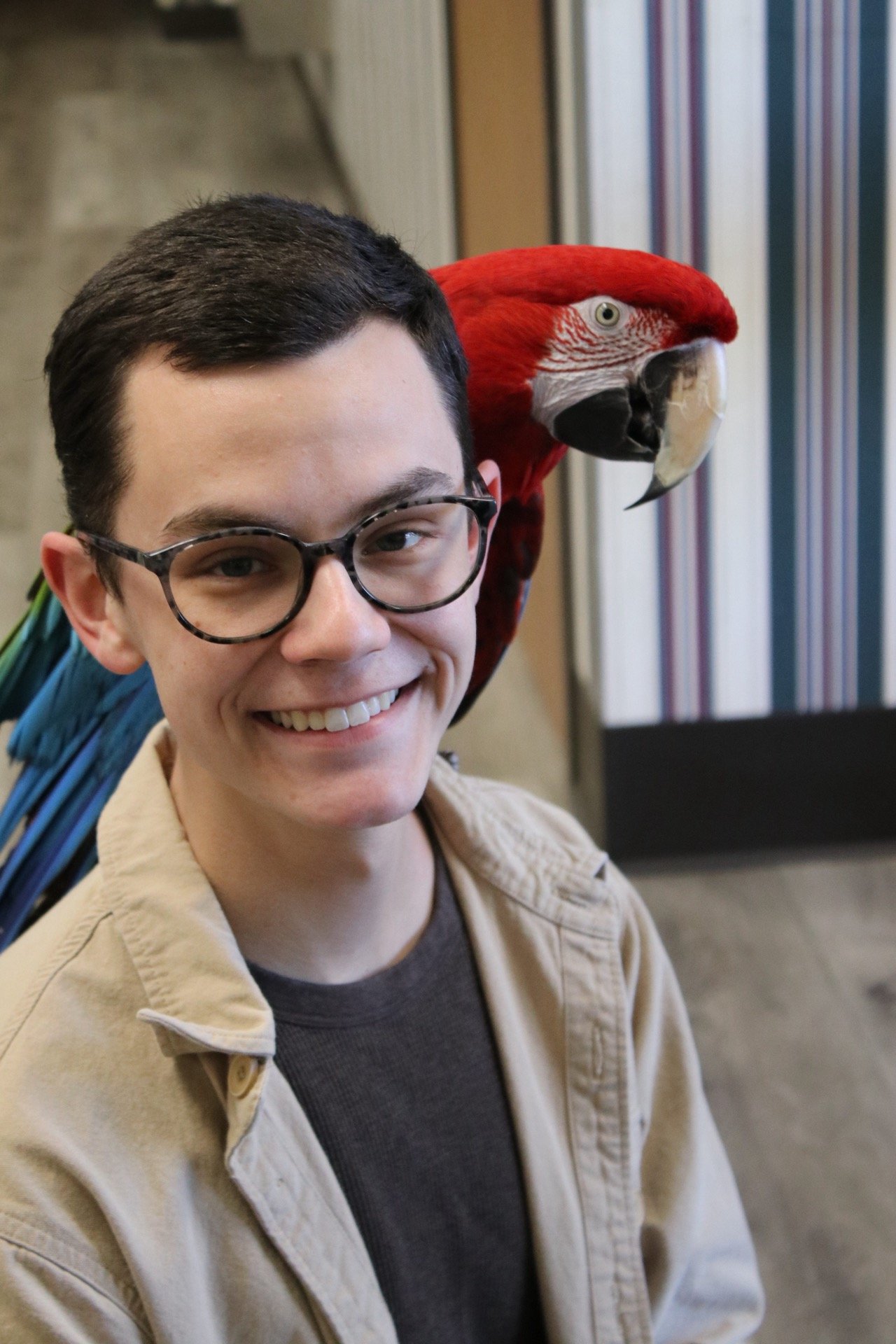 A young man with glasses smiling, with a free flight trained greenwing macaw perched on his shoulder.