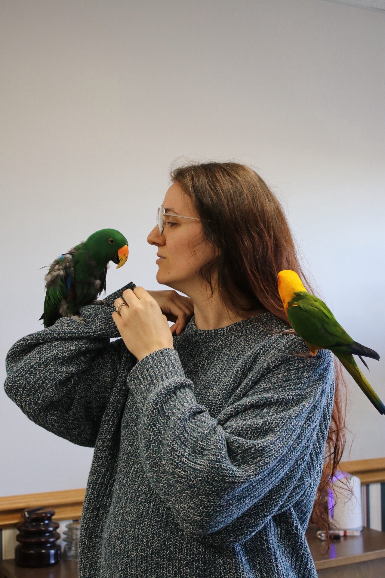 A woman with long brown hair, wearing glasses and a gray sweater, holding a green and yellow parrot on her arm and another green and yellow parrot perched on her shoulder, indoors with a plain white wall background.