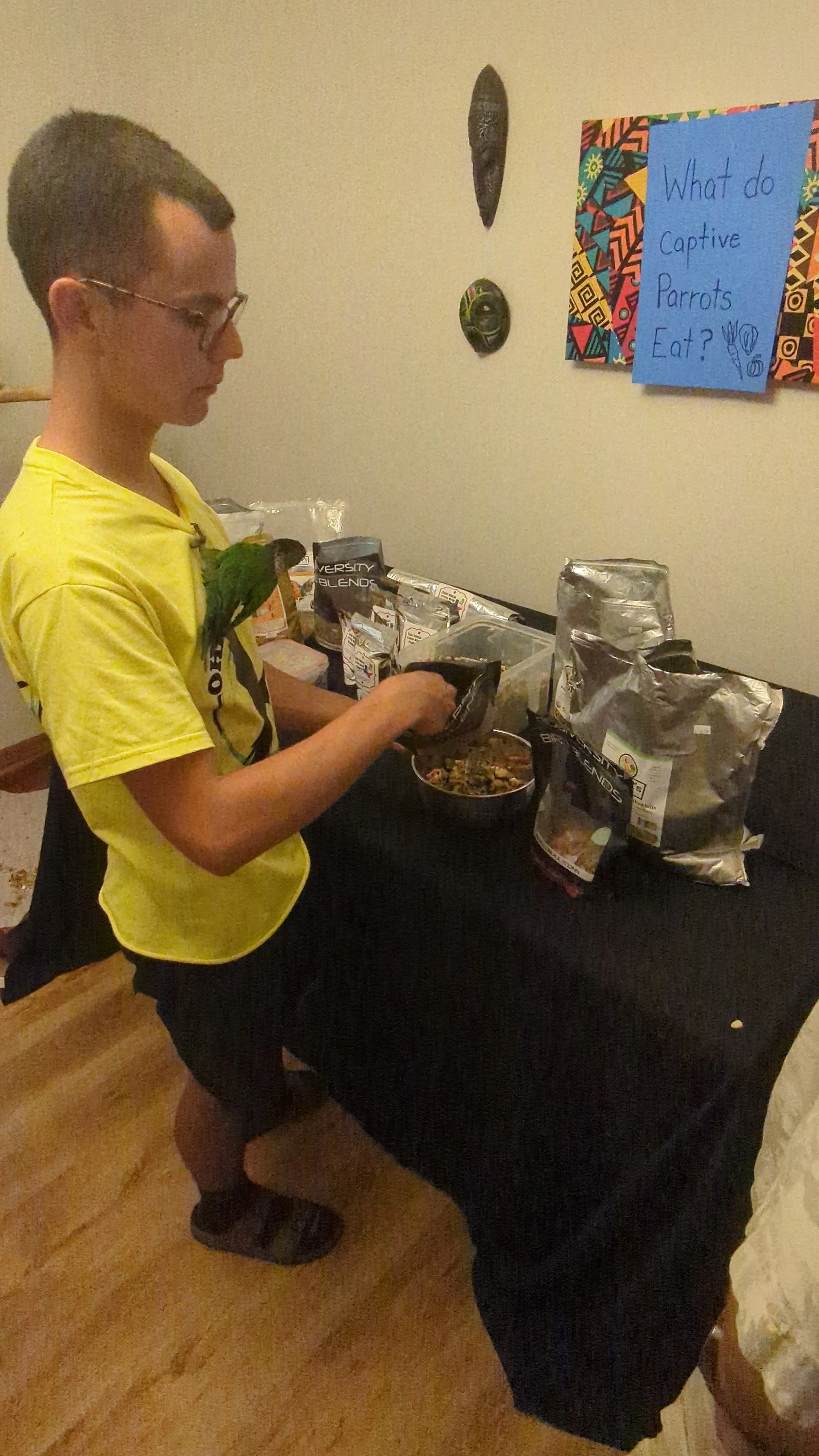 A boy in glasses and a yellow T-shirt with a parrot perched on his shoulder, standing at a table with food and snack bags, in a room with a colorful sign questioning 'What do captive parrots eat?' on the wall.