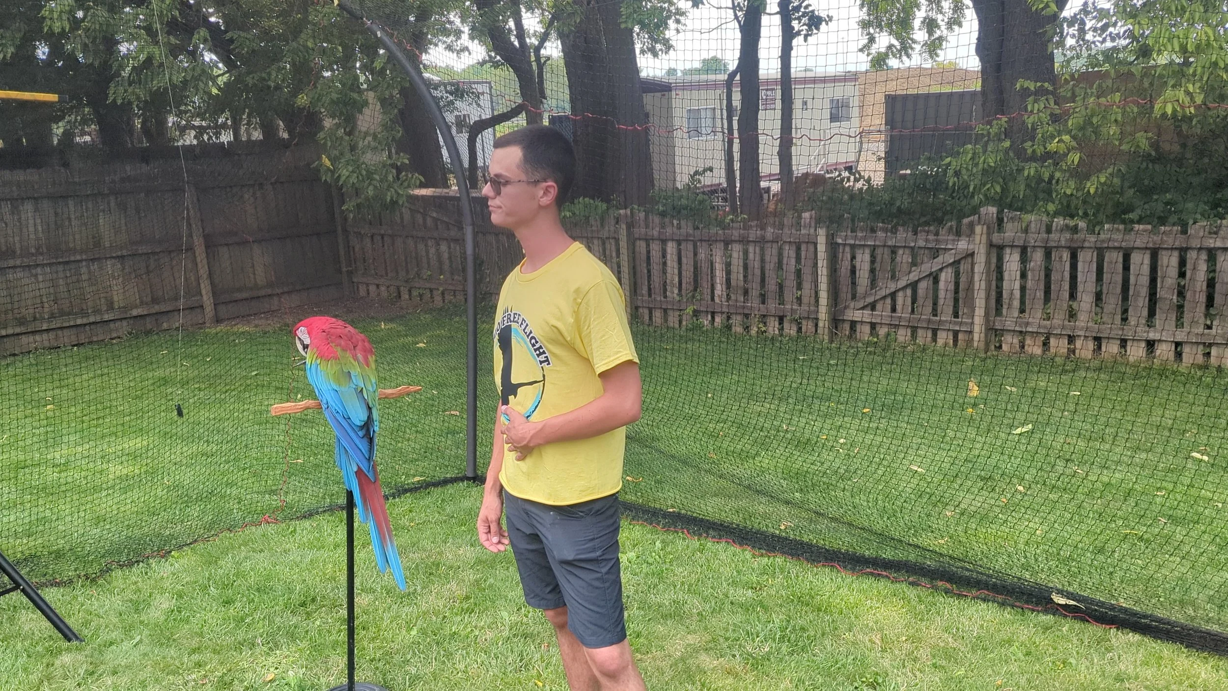 A man wearing sunglasses and a yellow t-shirt standing next to a colorful macaw perched on a stand, outside in a backyard with a fence and trees in the background.