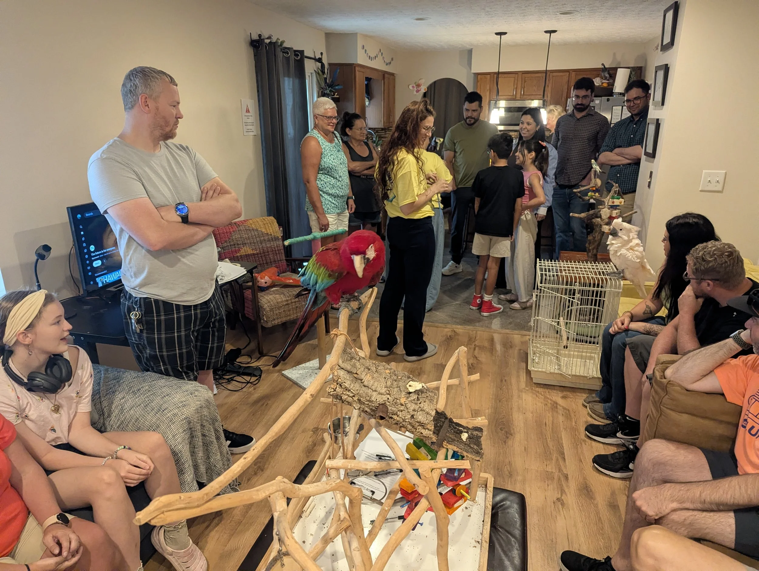 A group of adults and children gathered in a living room, observing various bird and animal figurines including a red parrot and a white bird. The setting is cozy with wooden logs and creative wooden structures on display, and the background features