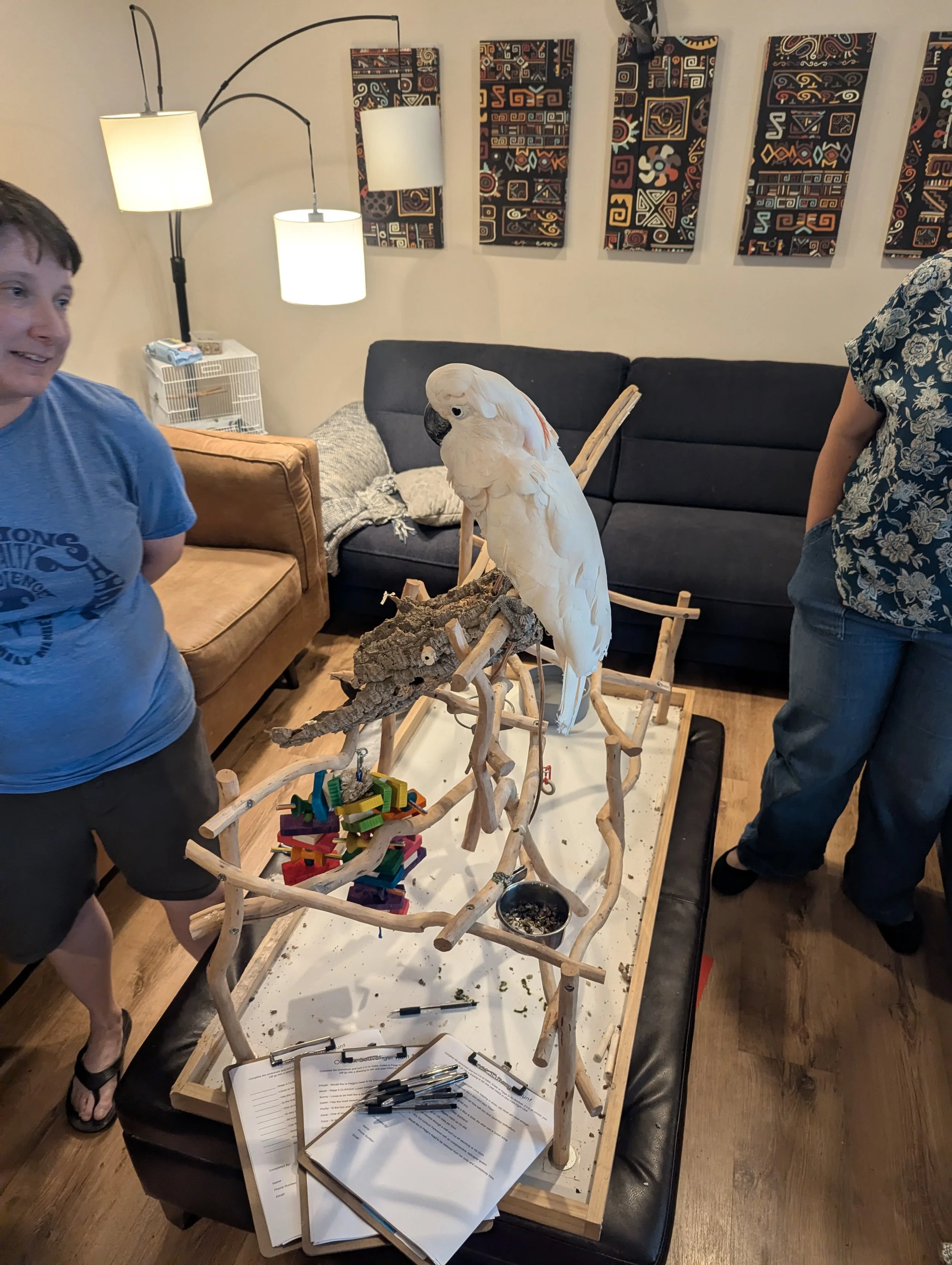 A person with short brown hair in a blue t-shirt and shorts standing next to a large wooden outdoor animal sculpture resembling a bird, within a cozy living room with modern art on the wall, a sofa, lamps, and various tools and papers on a clipboard 