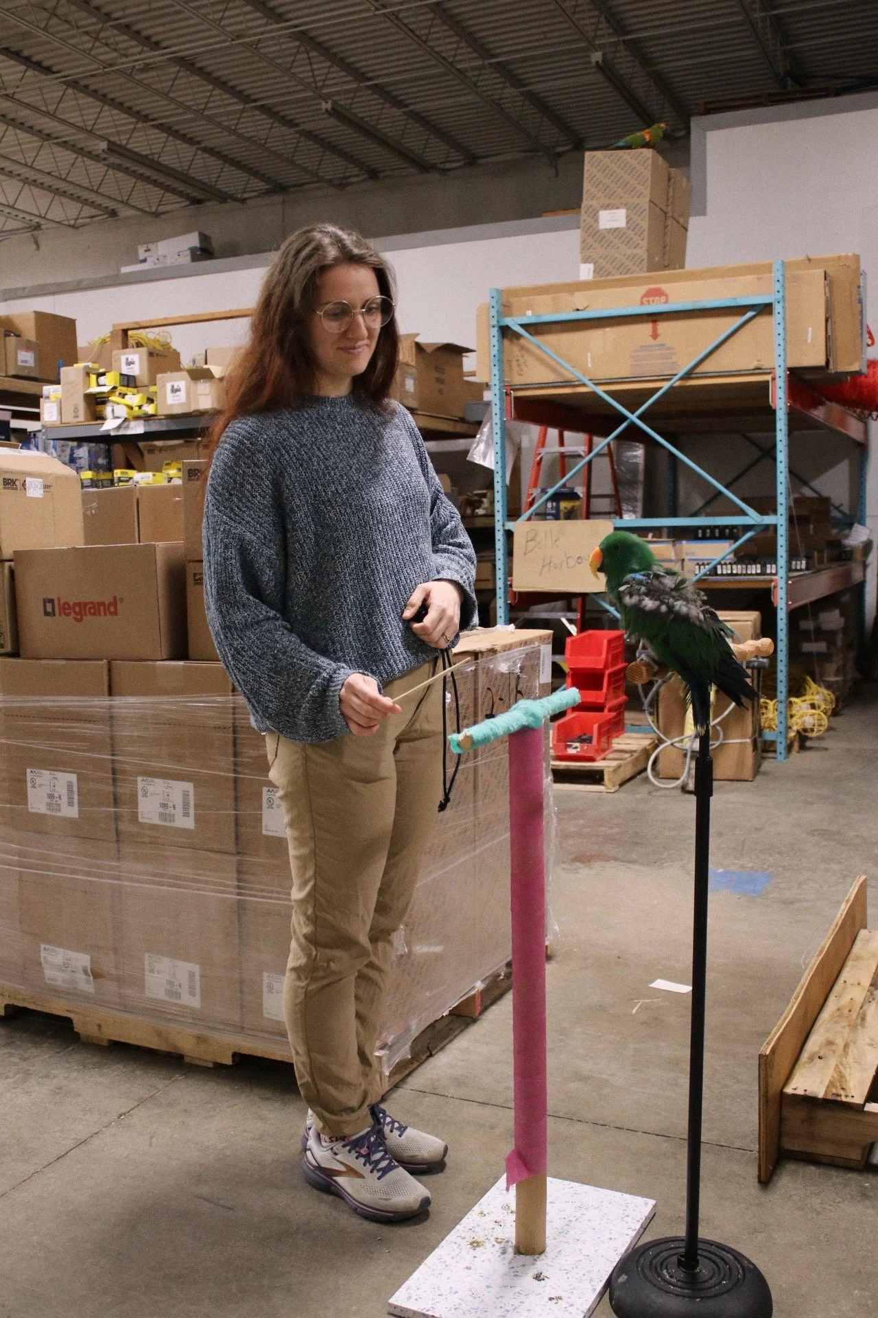 A woman with glasses, long brown hair, wearing a gray sweater, beige pants, and sneakers, stands in a warehouse. In front of her is a colorful parrot on a perch practicing target training.