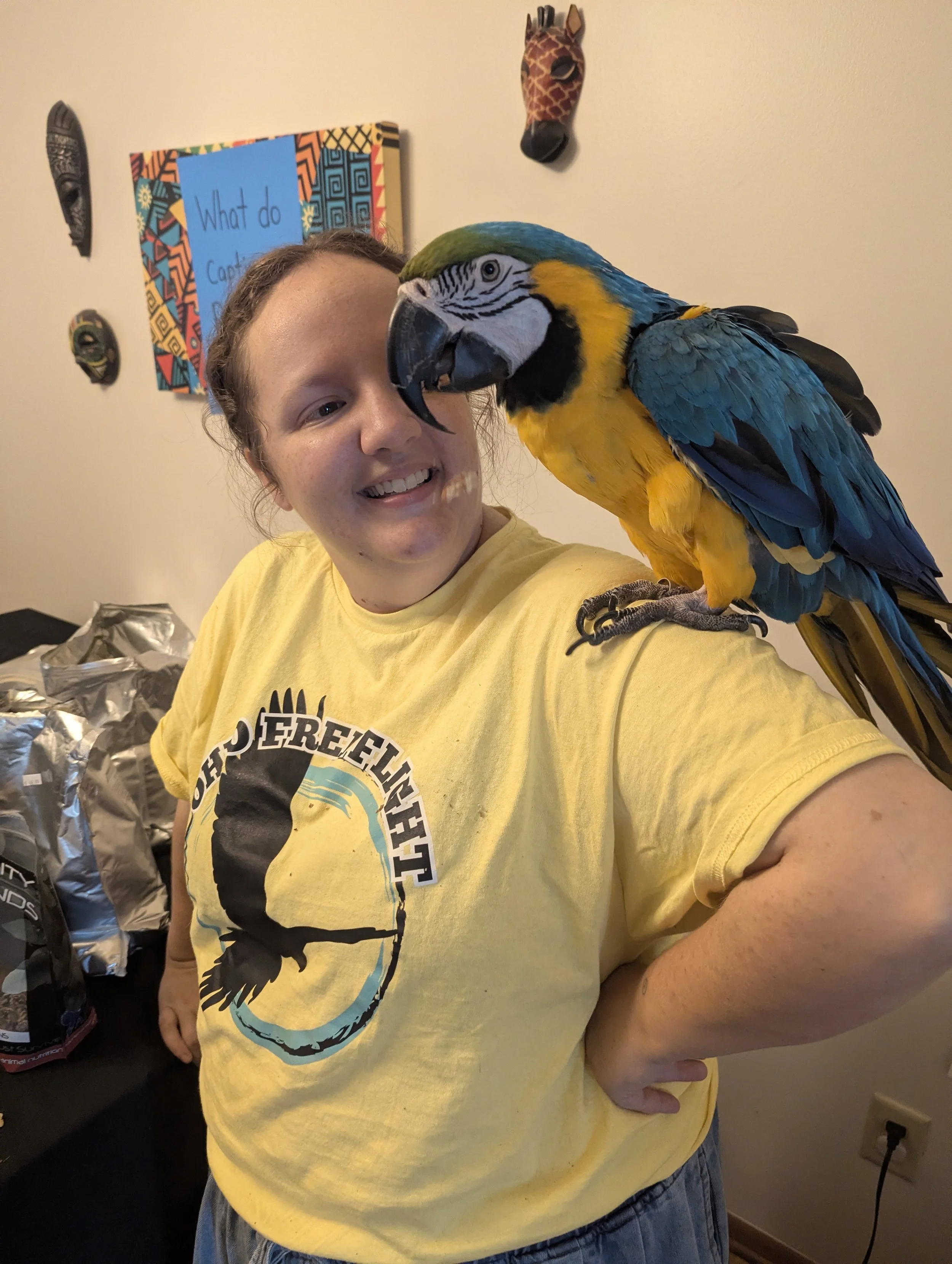 A person smiling while taking a selfie with a large blue and yellow parrot perched on their shoulder in a room with African masks and a colorful sign in the background.