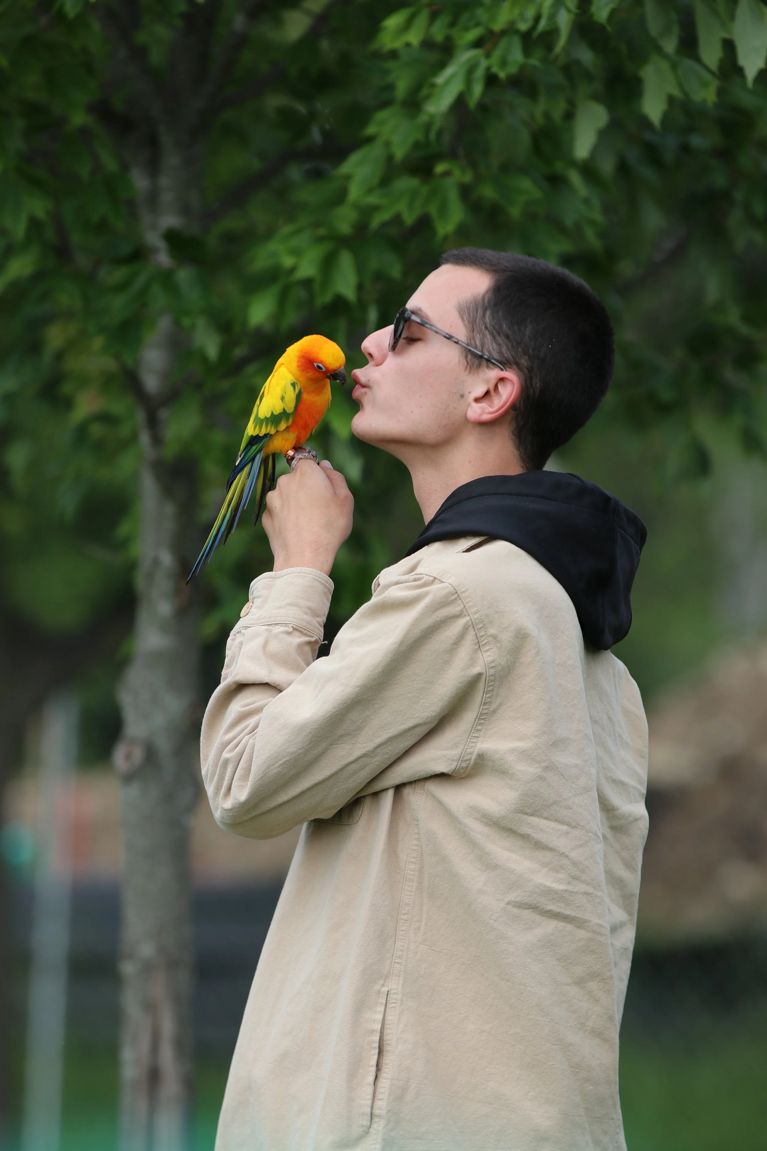 A young man wearing glasses, a beige jacket, and a black hoodie underneath is standing outdoors in front of green leafy trees. He is holding a colorful yellow and green parrot on his right hand, and the parrot is leaning towards his face as if about to kiss or nibble his lips.