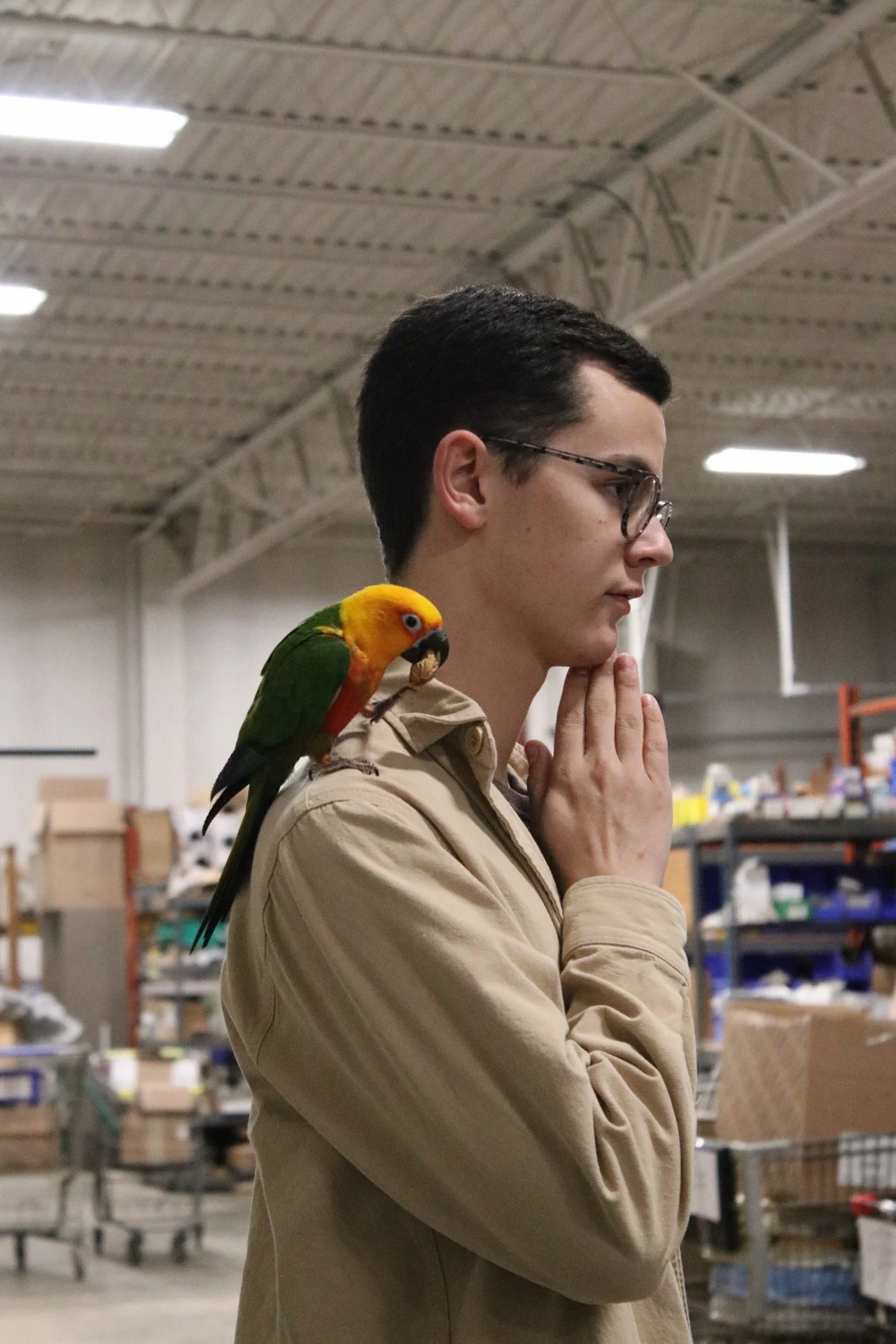 A person with short dark hair and glasses, wearing a beige jacket, is standing in an industrial or warehouse setting with metal shelves and boxes in the background. A colorful parrot is perched on their shoulder. The parrot is a Sun Conure.
