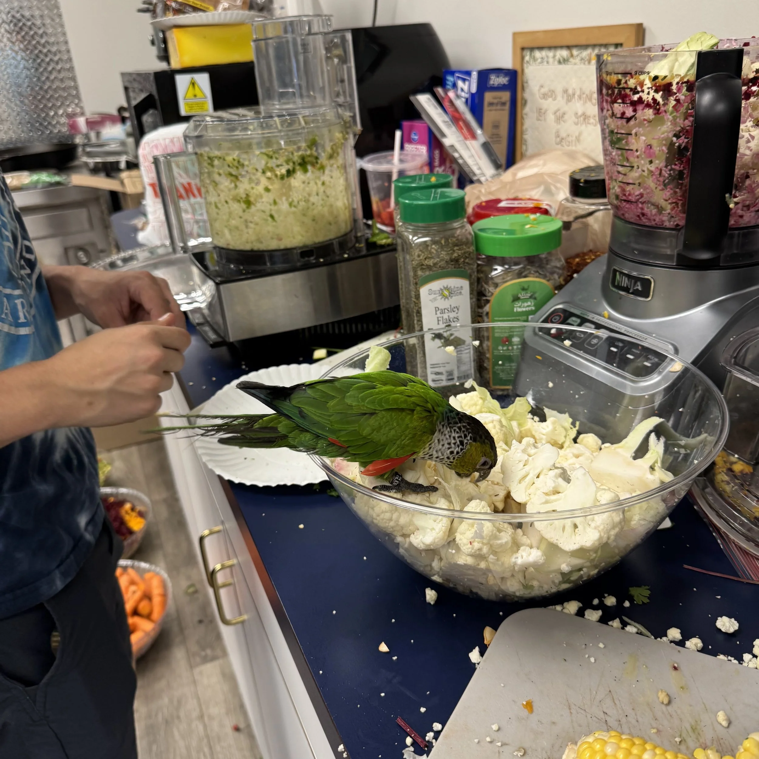 Chop party 16.jpg