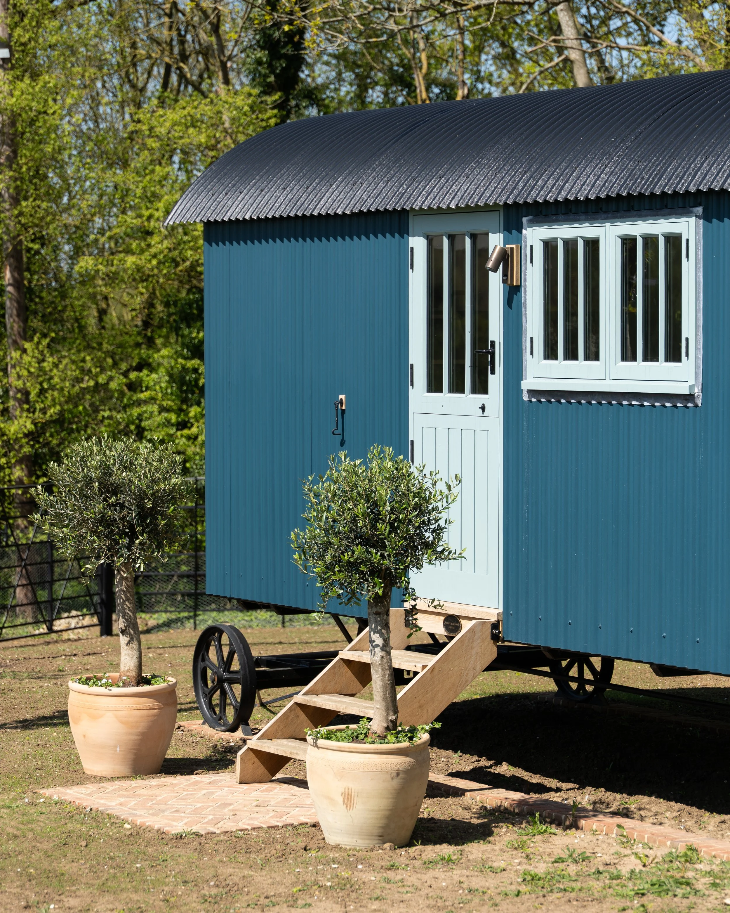 A small blue tiny house on wheels with a curved metal roof, stairs leading up to the door, and small trees and potted plants in front of it, in a yard with a brick pathway.