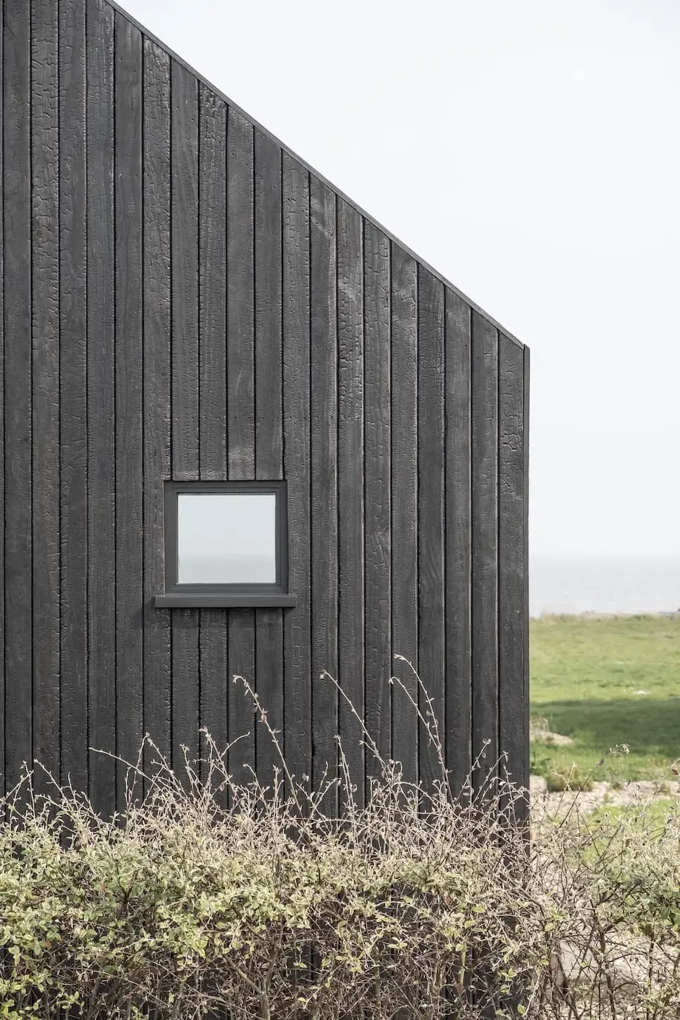 Black wooden house wall with a small square window and some plants in front, in a grassy outdoor area.