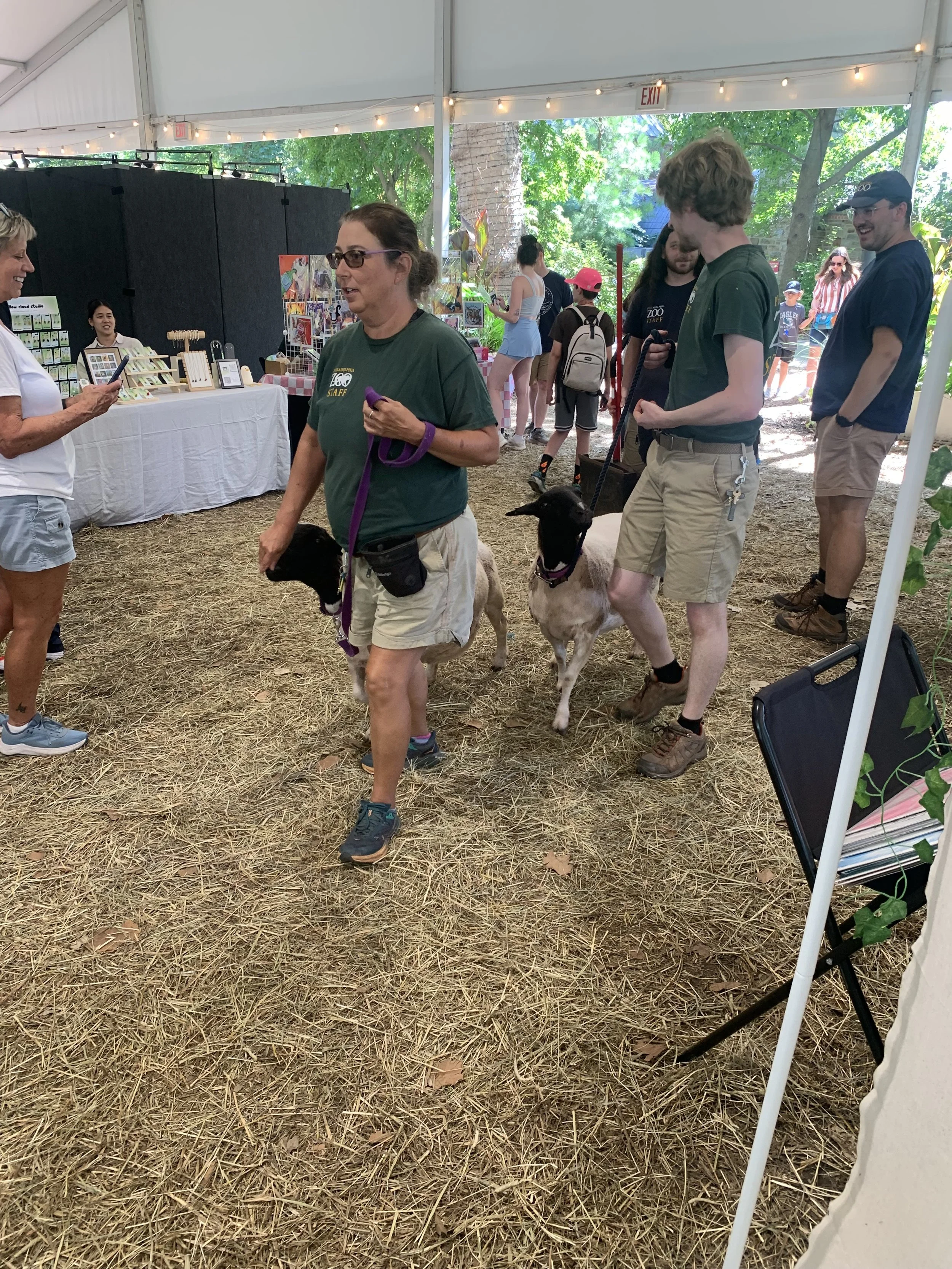 Philadelphia zoo staff guiding goats through market