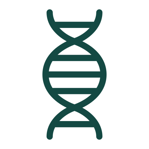 Illustration of a DNA double helix strand.
