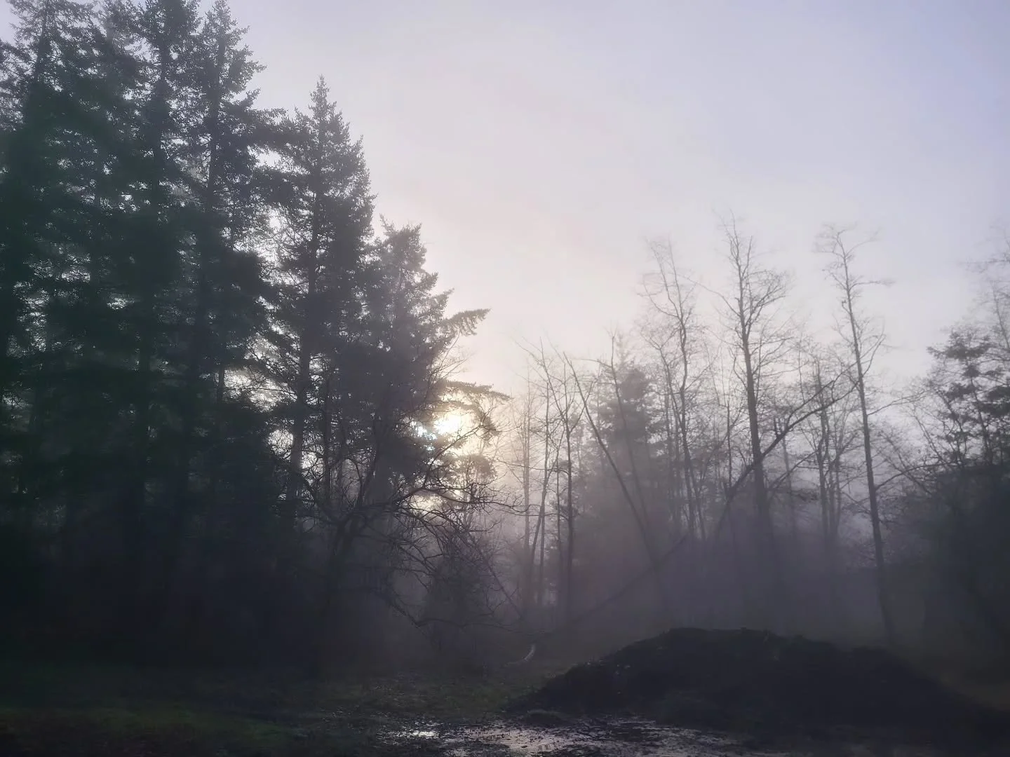 Early winter morning at the farm 

#farminglife #farm #winter #wintermorning #foggymorning