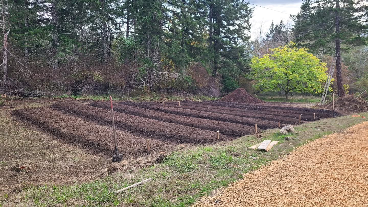 All planted a day before the rains start! Thousands of cloves will hibernate here over the winter. We planted Red Russian, Music, Spanish Roja and Duganski. Such a lot of work, but still more to come. Next is a proper fence and mulch to keep them coz