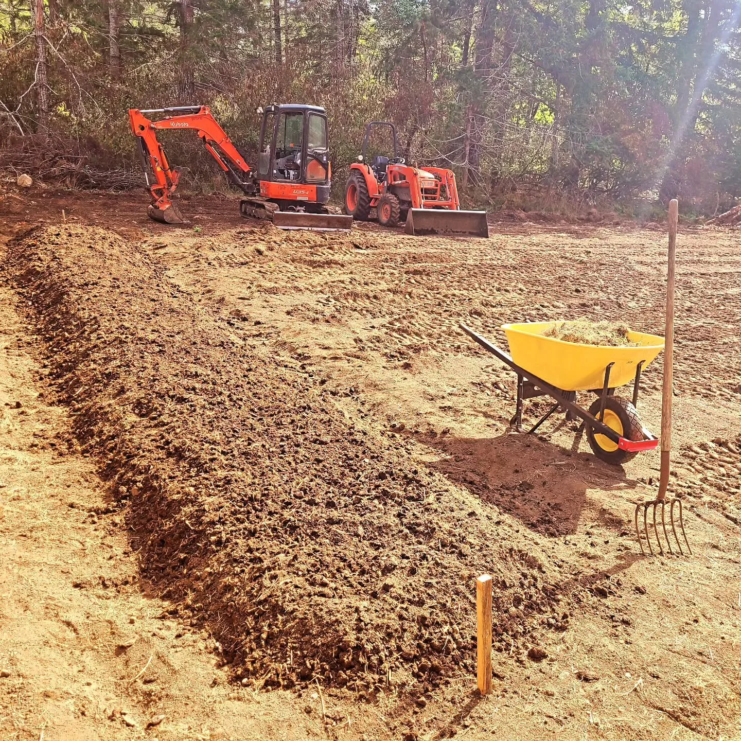 Starting the garlic beds! Don't kid yourself...it's back breaking work! 9 more beds to go 😅 This bed will probably grow about 500 bulbs.

#garlic #garlicgrowing #valensbrookfarm #farminglife
