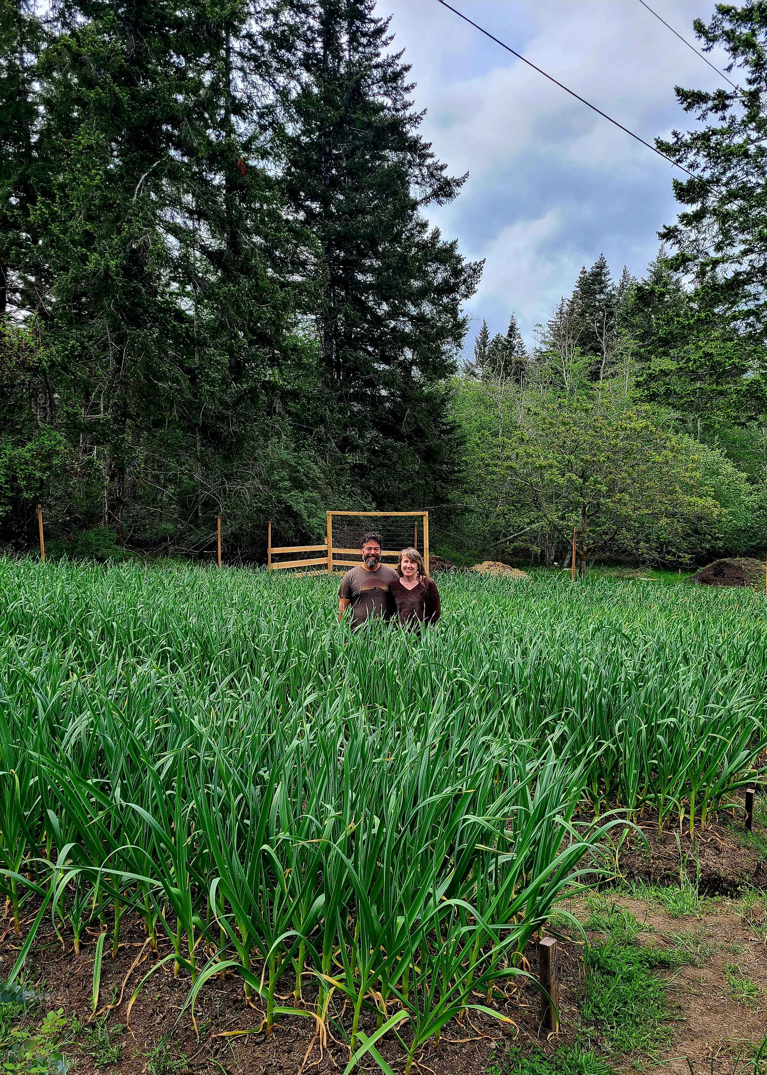 A man and woman stand in a field of garlic with a wooden fence and forested trees in the background.
