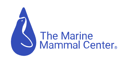 San Francisco: Highlighting The Marine Mammal Center