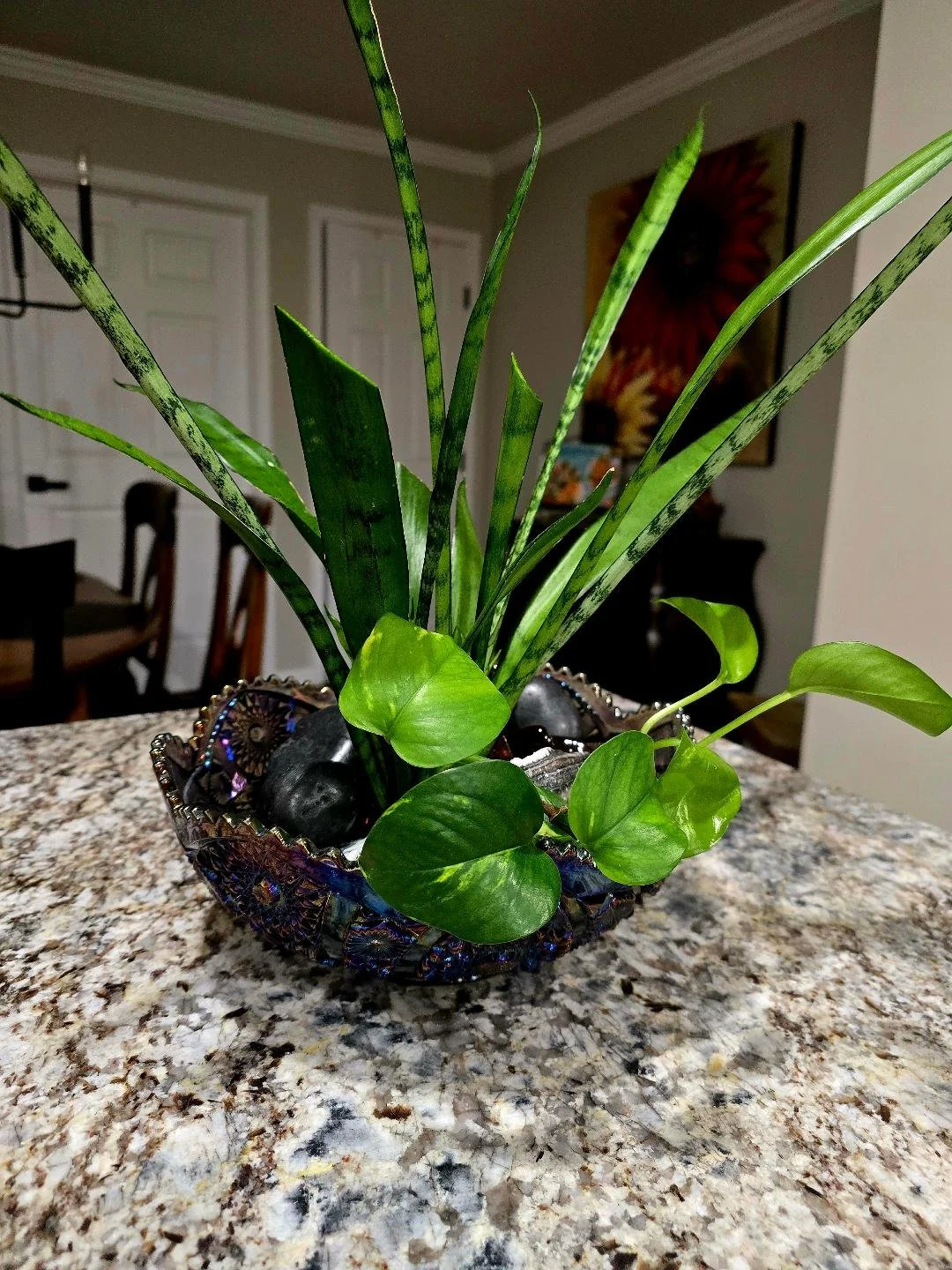 When the Garden Comes Inside: A Rainy Day Plant Spa