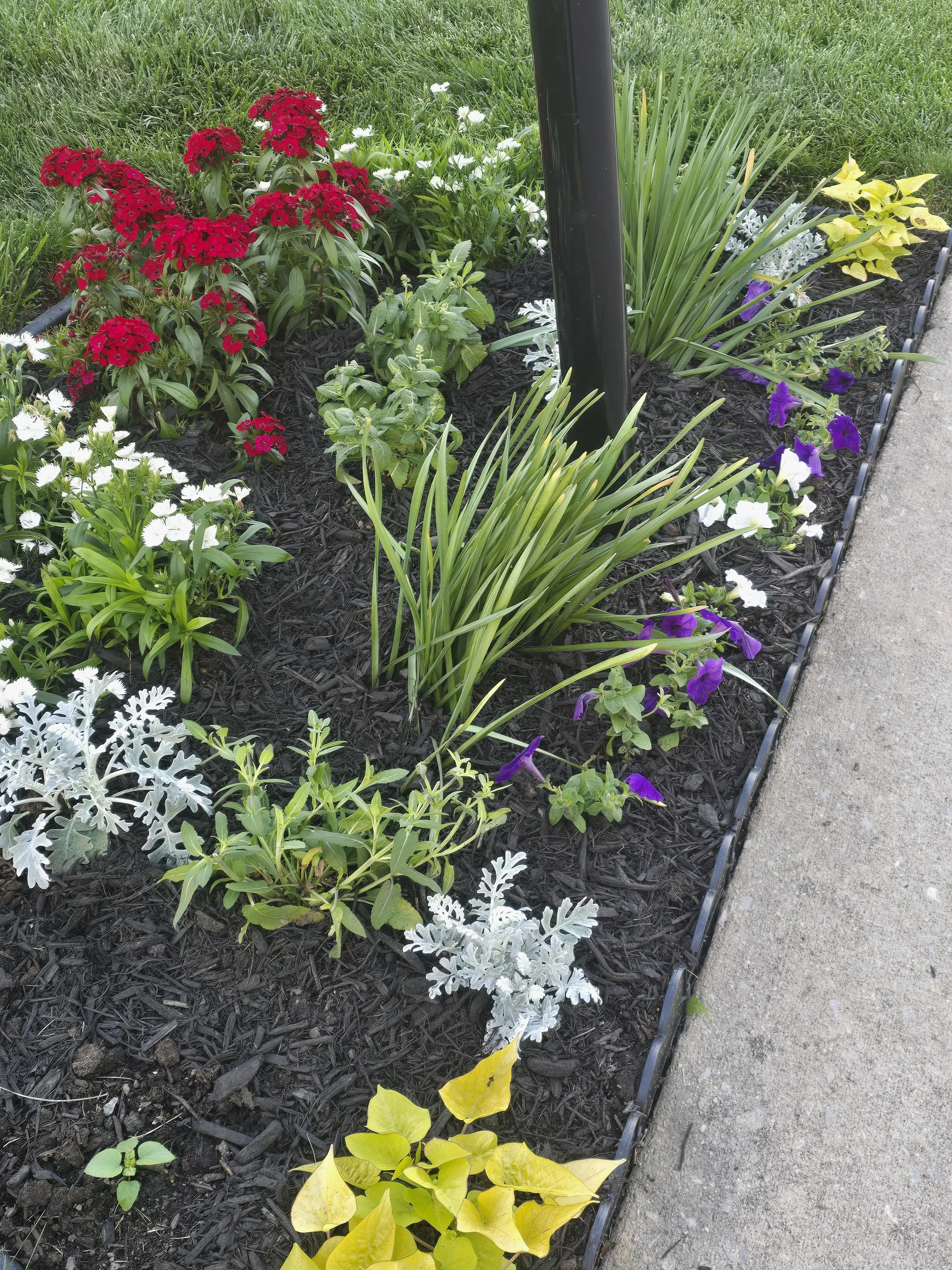 The $30 Clearance Rescue That Transformed My Mailbox Bed