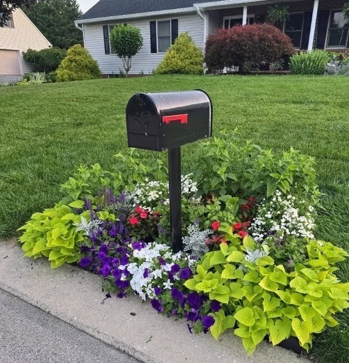The $30 Clearance Rescue That Transformed My Mailbox Bed