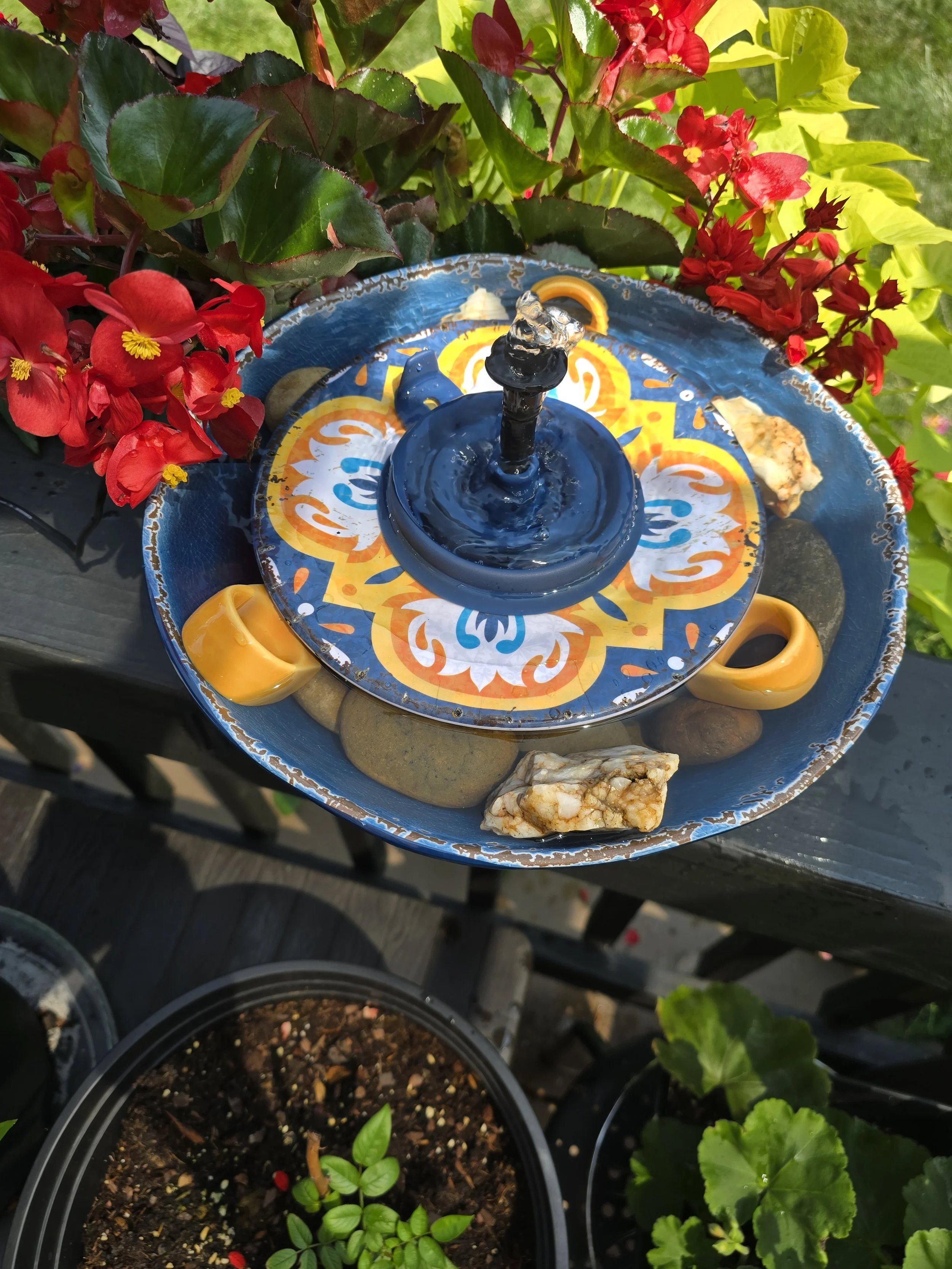 A Bubbling Bath for the Hummingbirds (Built from a Bowl, a Plate &amp; a Funnel!)