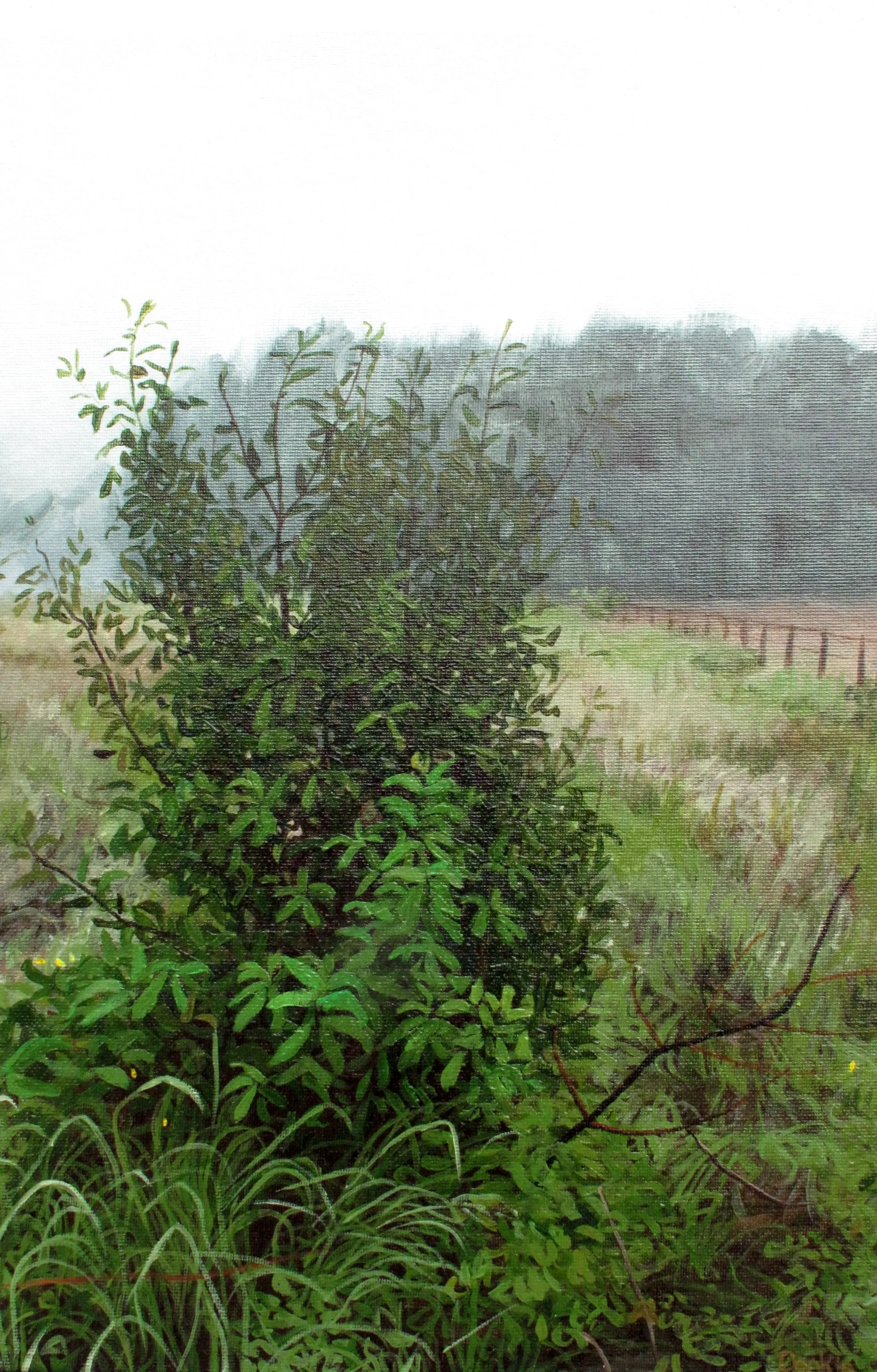 Unnamed field painting.JPG