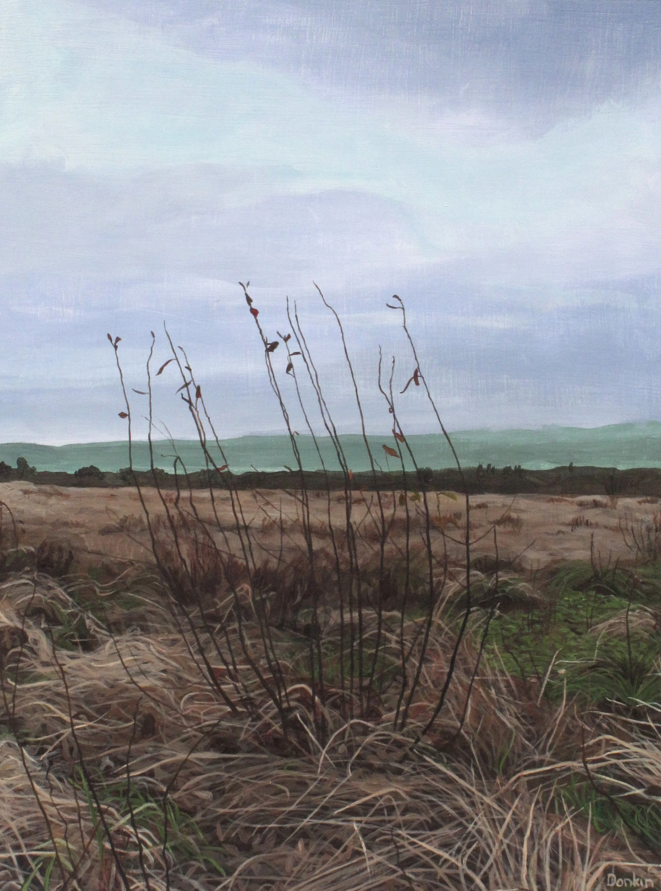 Homeland IV.jpg